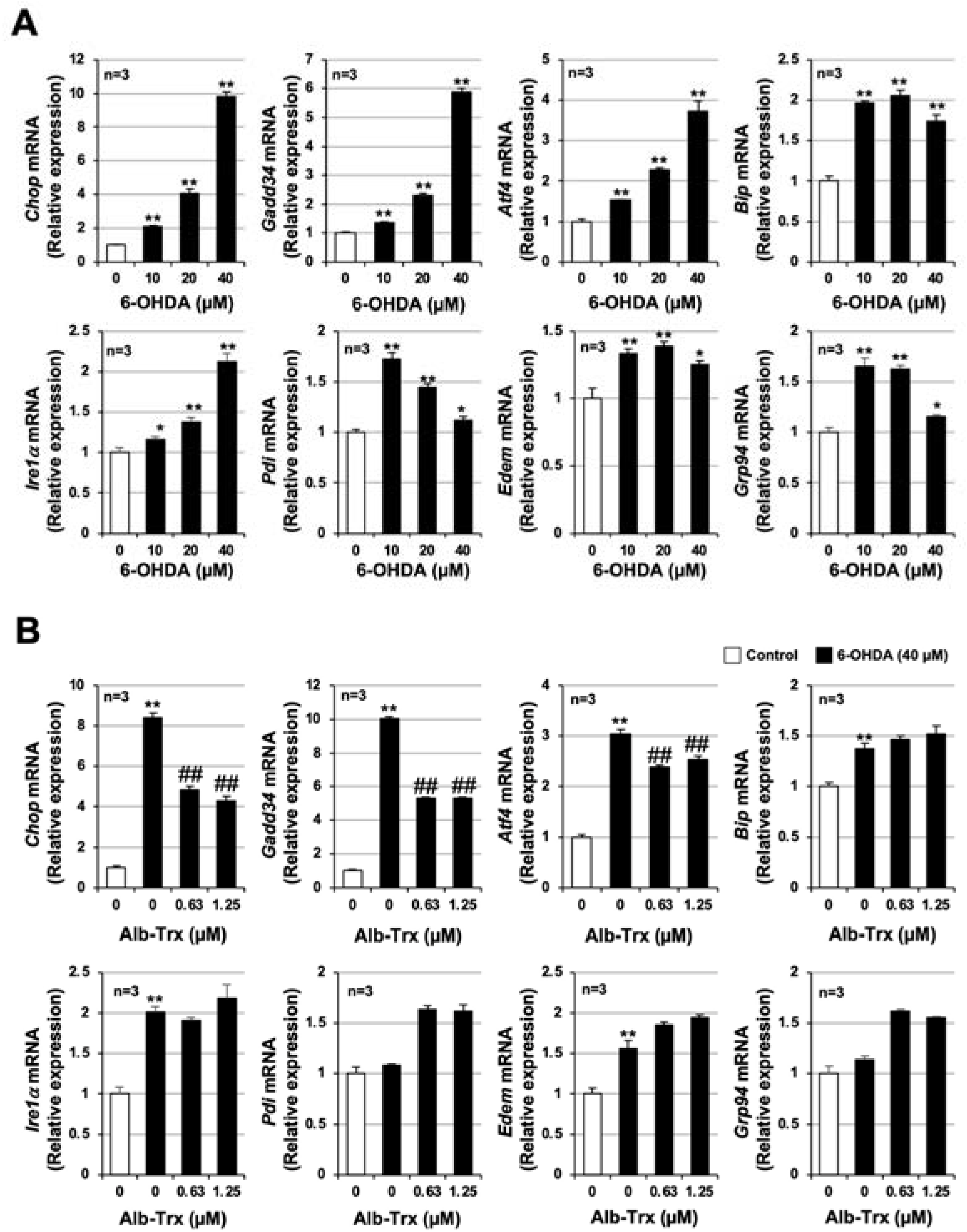 Ijms 24 09758 g002 Ijms 24 09758 g002