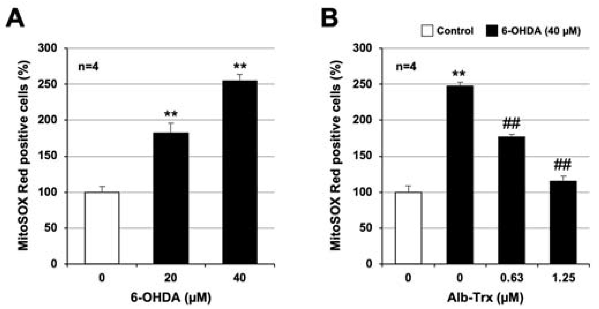 Ijms 24 09758 g004 Ijms 24 09758 g004