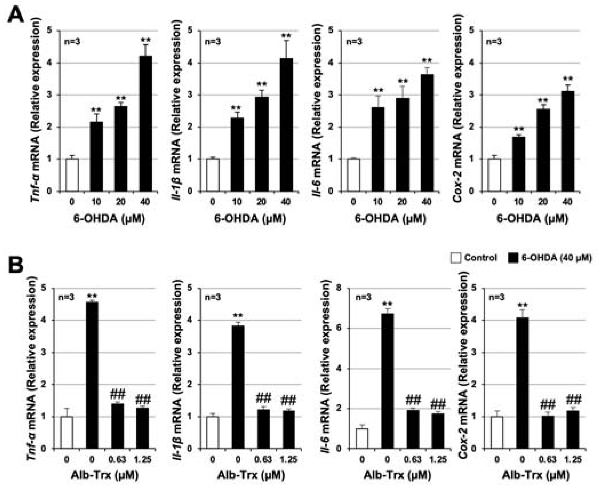 Ijms 24 09758 g006 Ijms 24 09758 g006