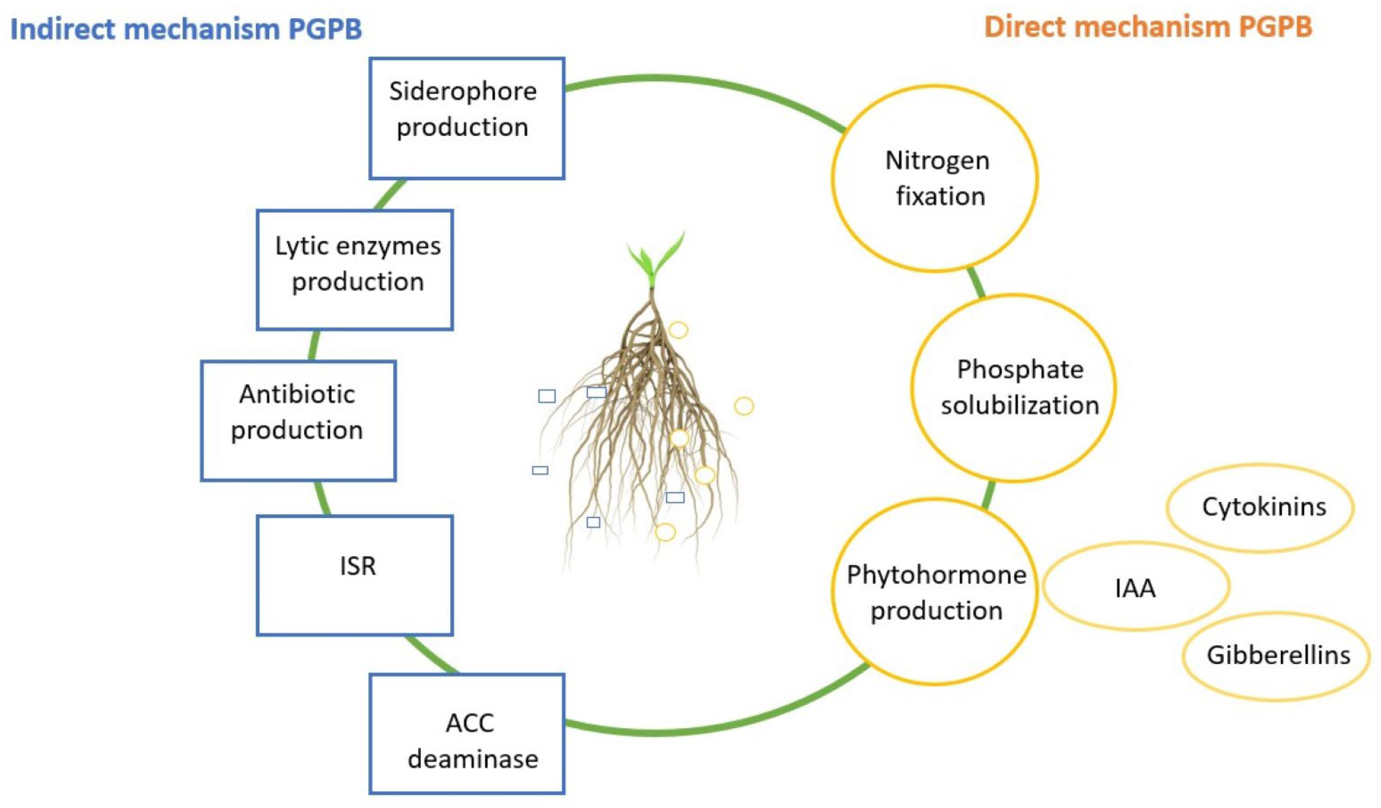 Ijms 24 09759 g001 Ijms 24 09759 g001