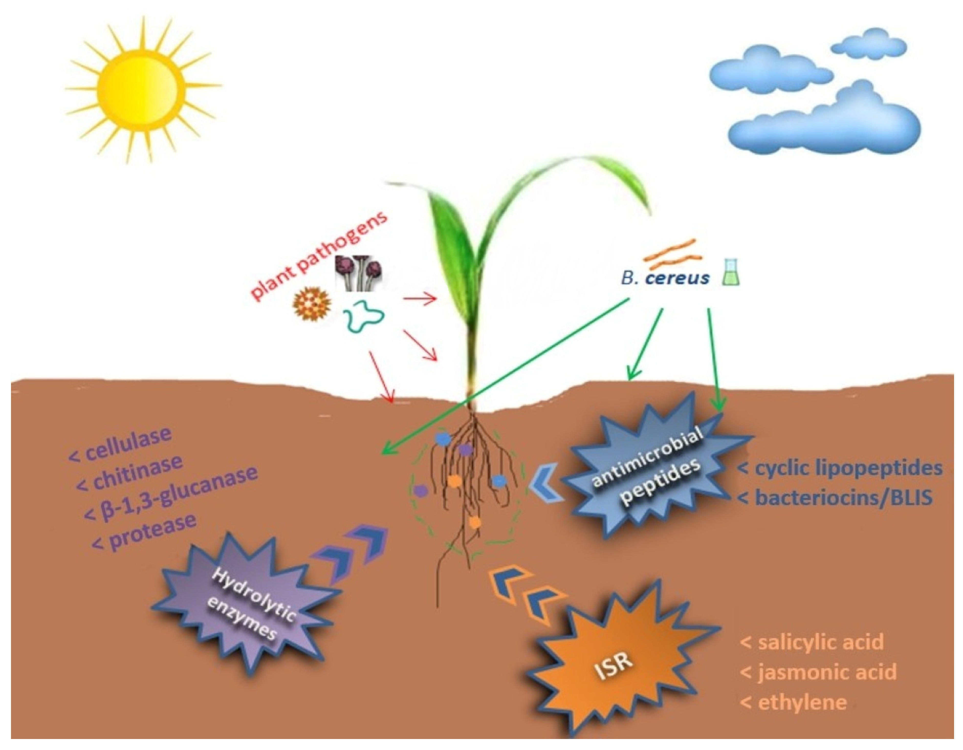 Ijms 24 09759 g002 Ijms 24 09759 g002