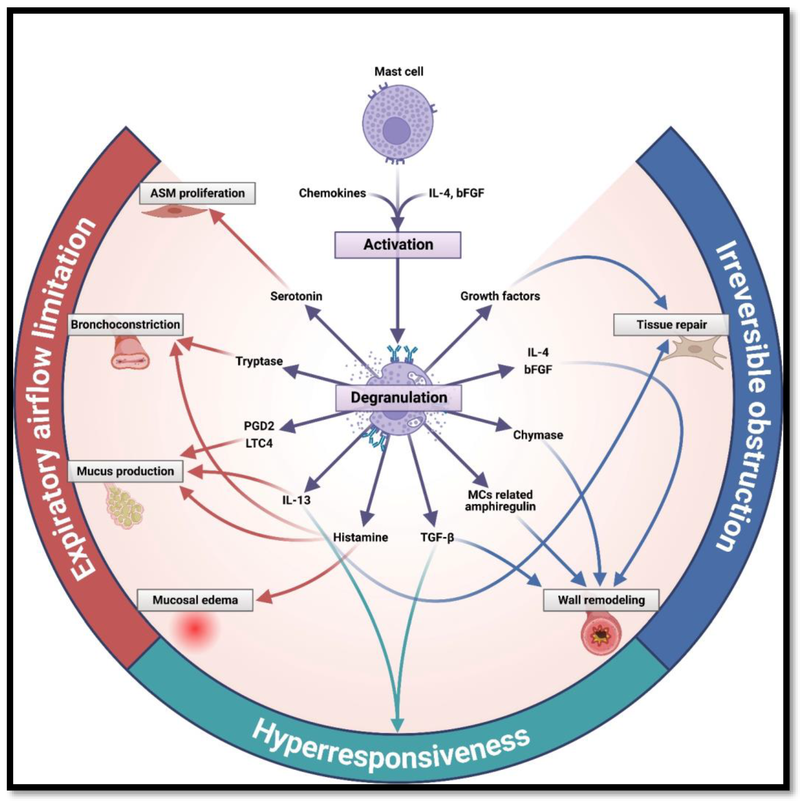 Ijms 24 09771 g002 Ijms 24 09771 g002