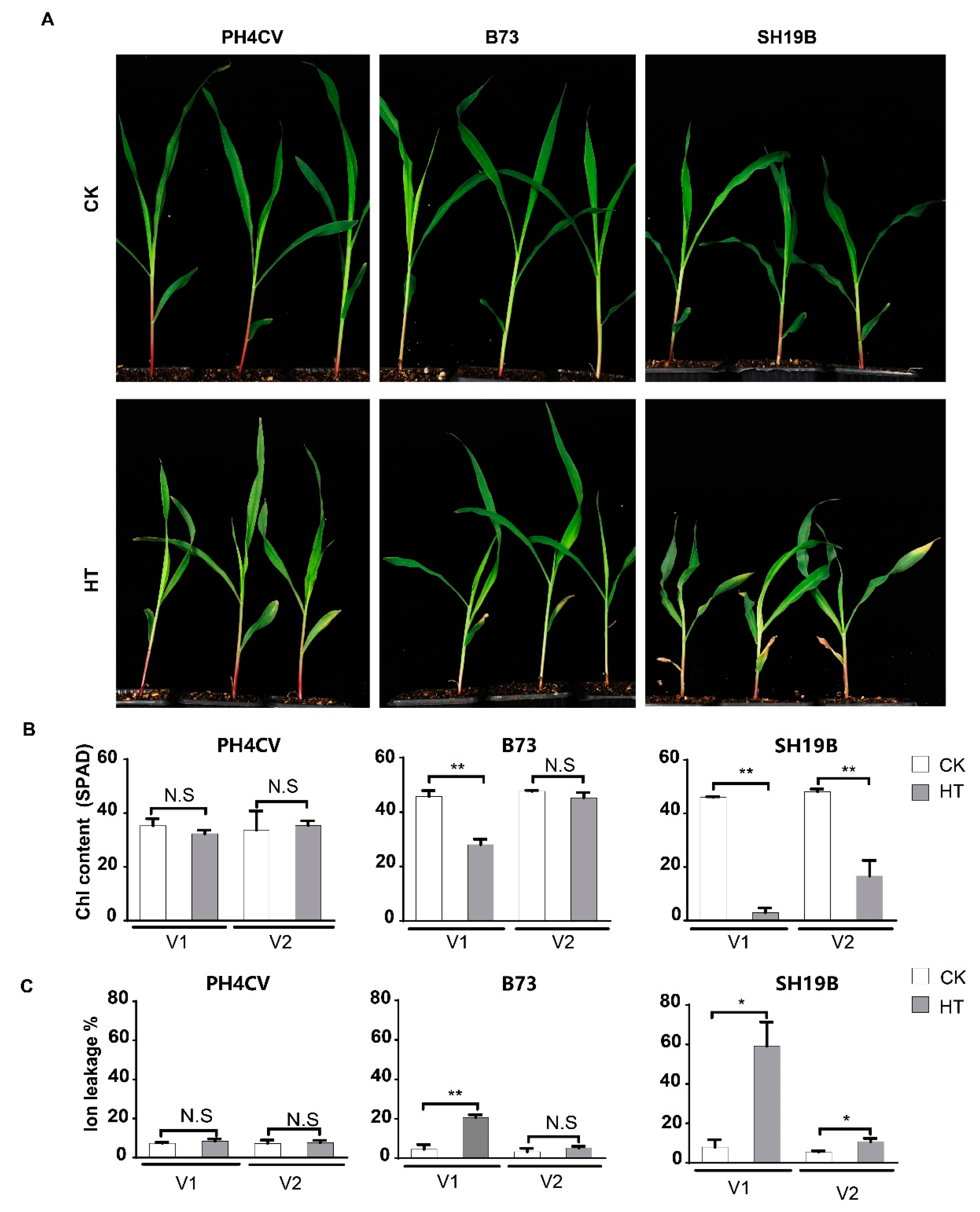 IJMS | Free Full-Text | Transcriptomic Analysis of Three Differentially ...