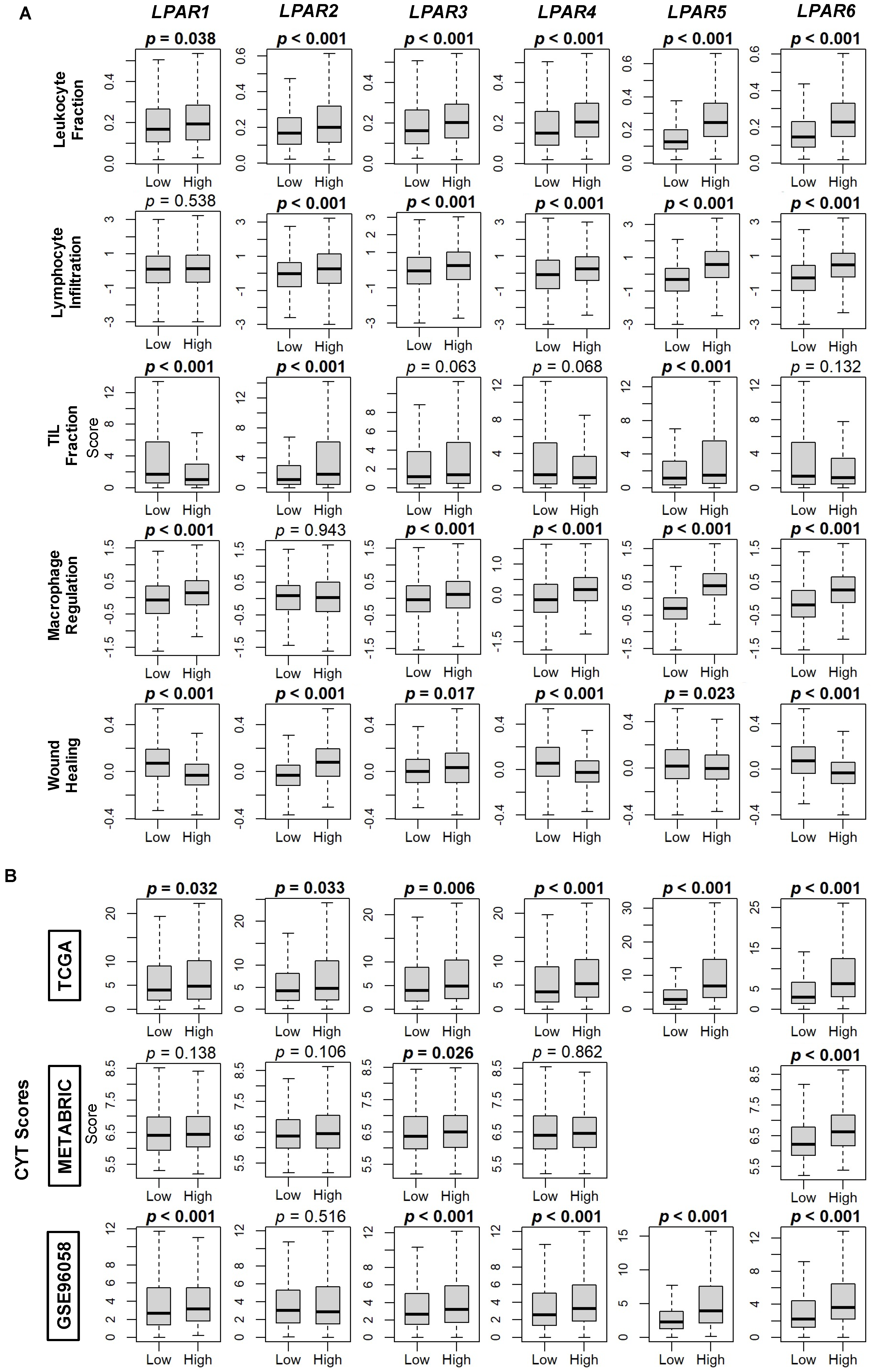 Ijms 24 09812 g009 Ijms 24 09812 g009