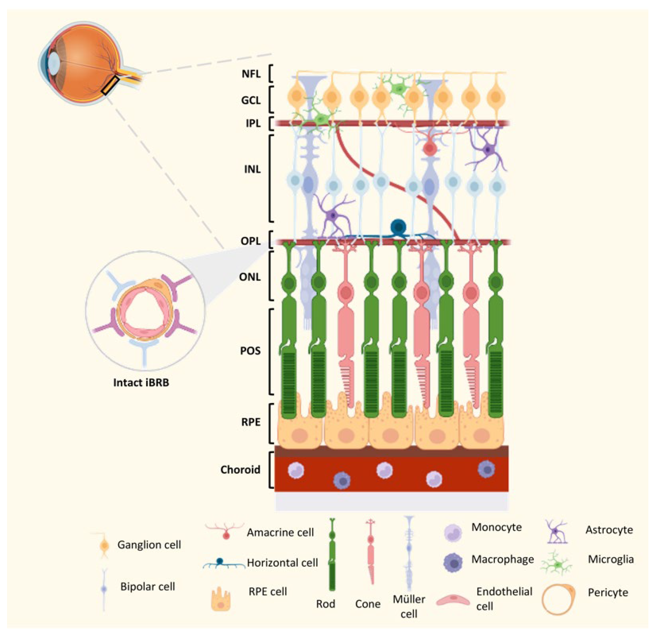 Ijms 24 09821 g002 Ijms 24 09821 g002
