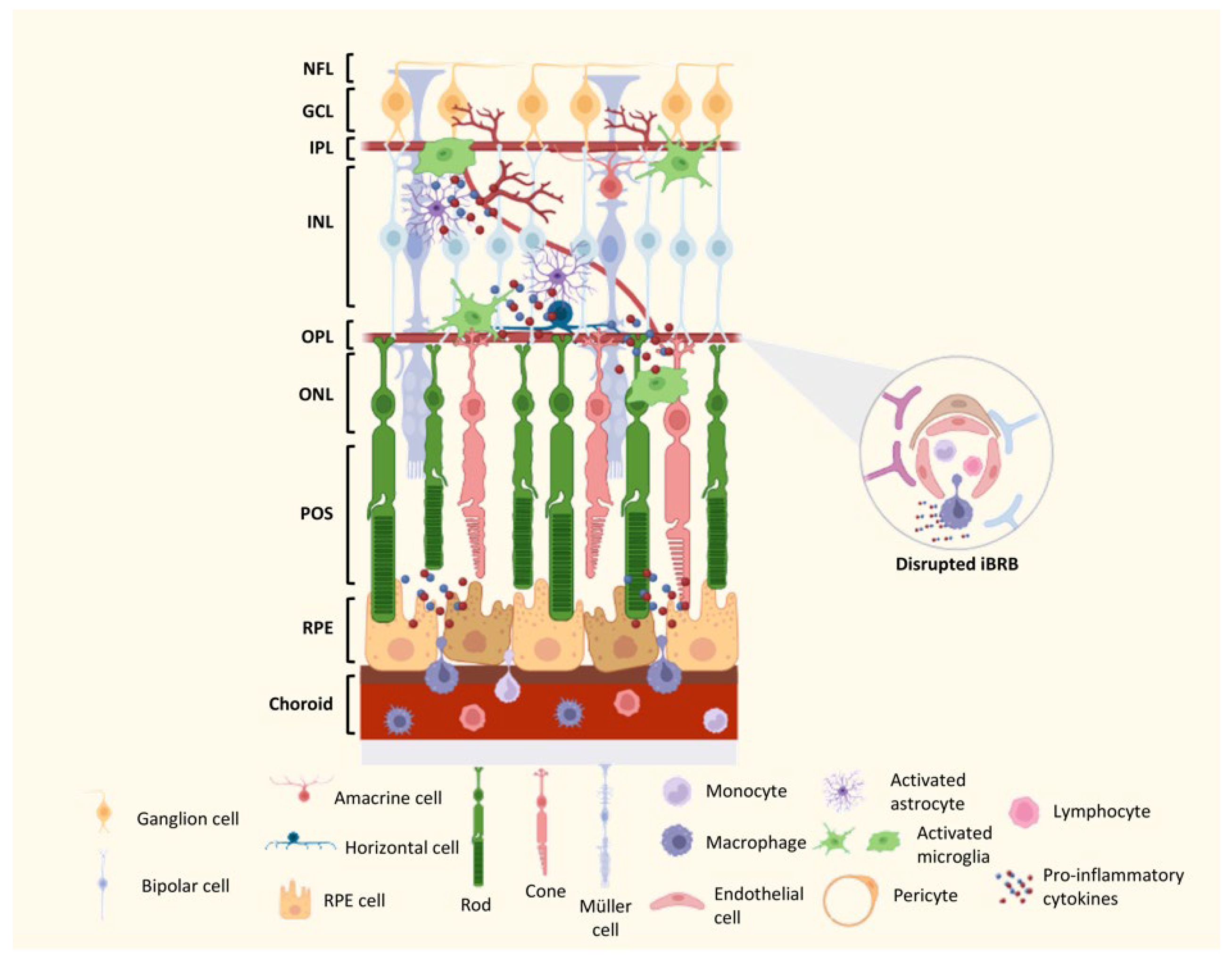Ijms 24 09821 g004 Ijms 24 09821 g004