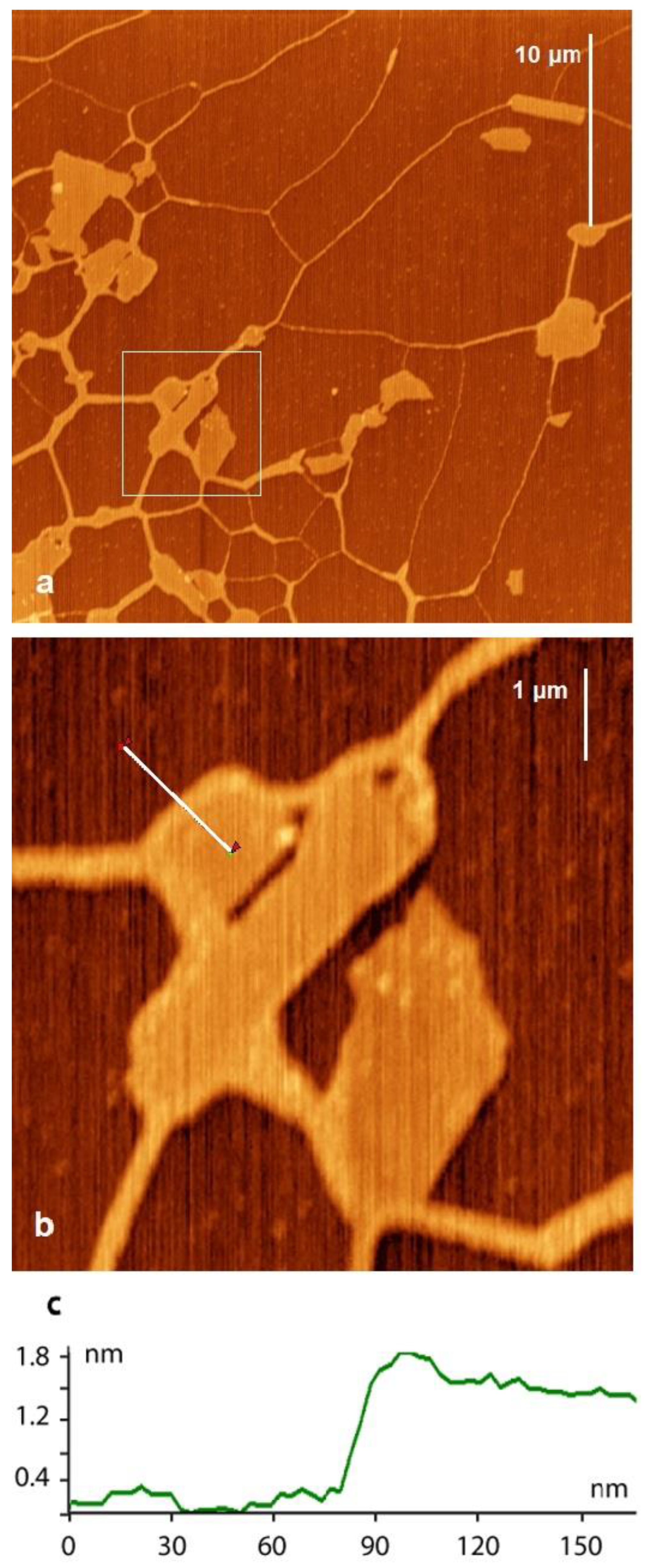 Ijms 24 09827 g001 Ijms 24 09827 g001