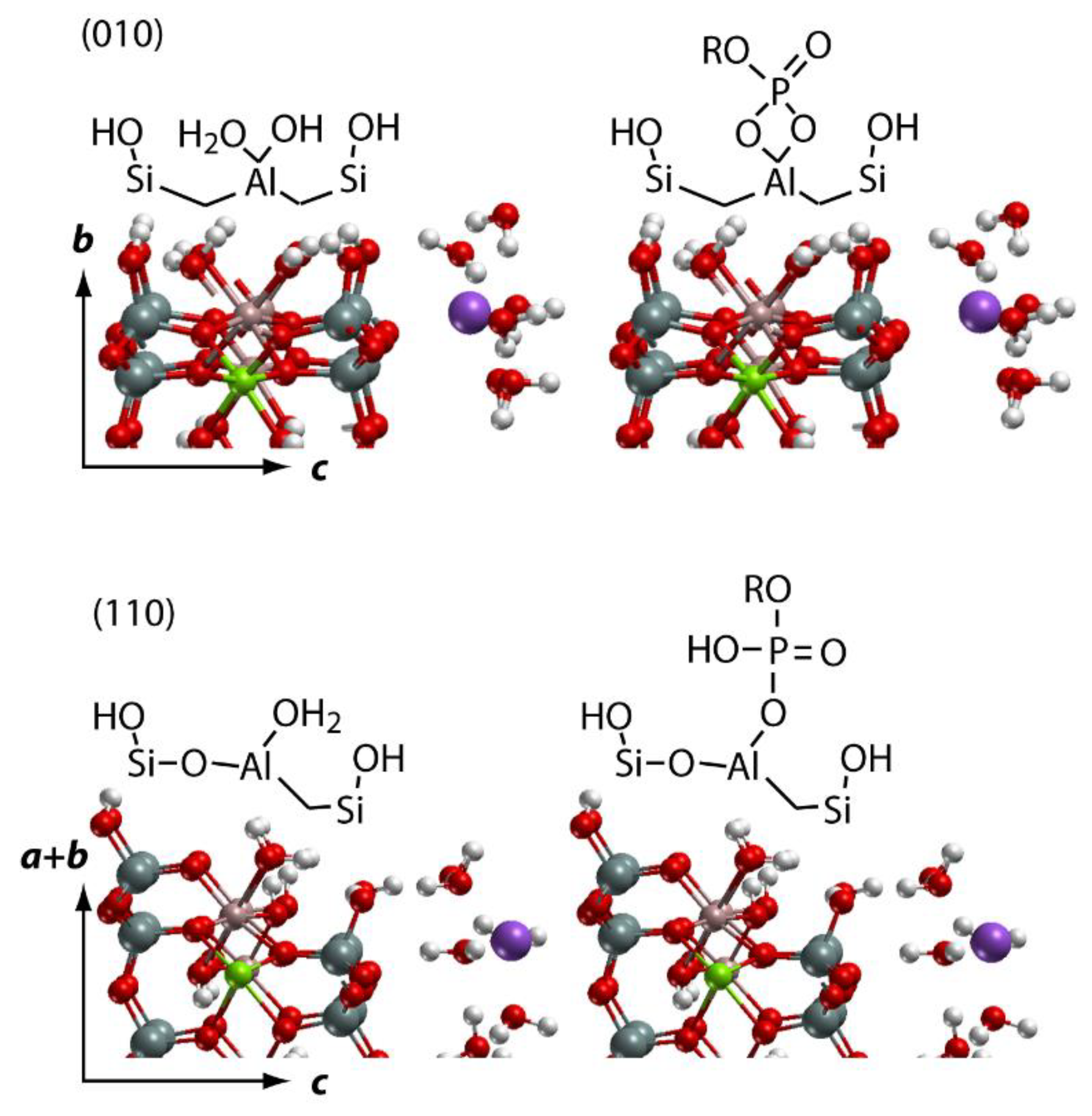 Ijms 24 09827 g004 Ijms 24 09827 g004