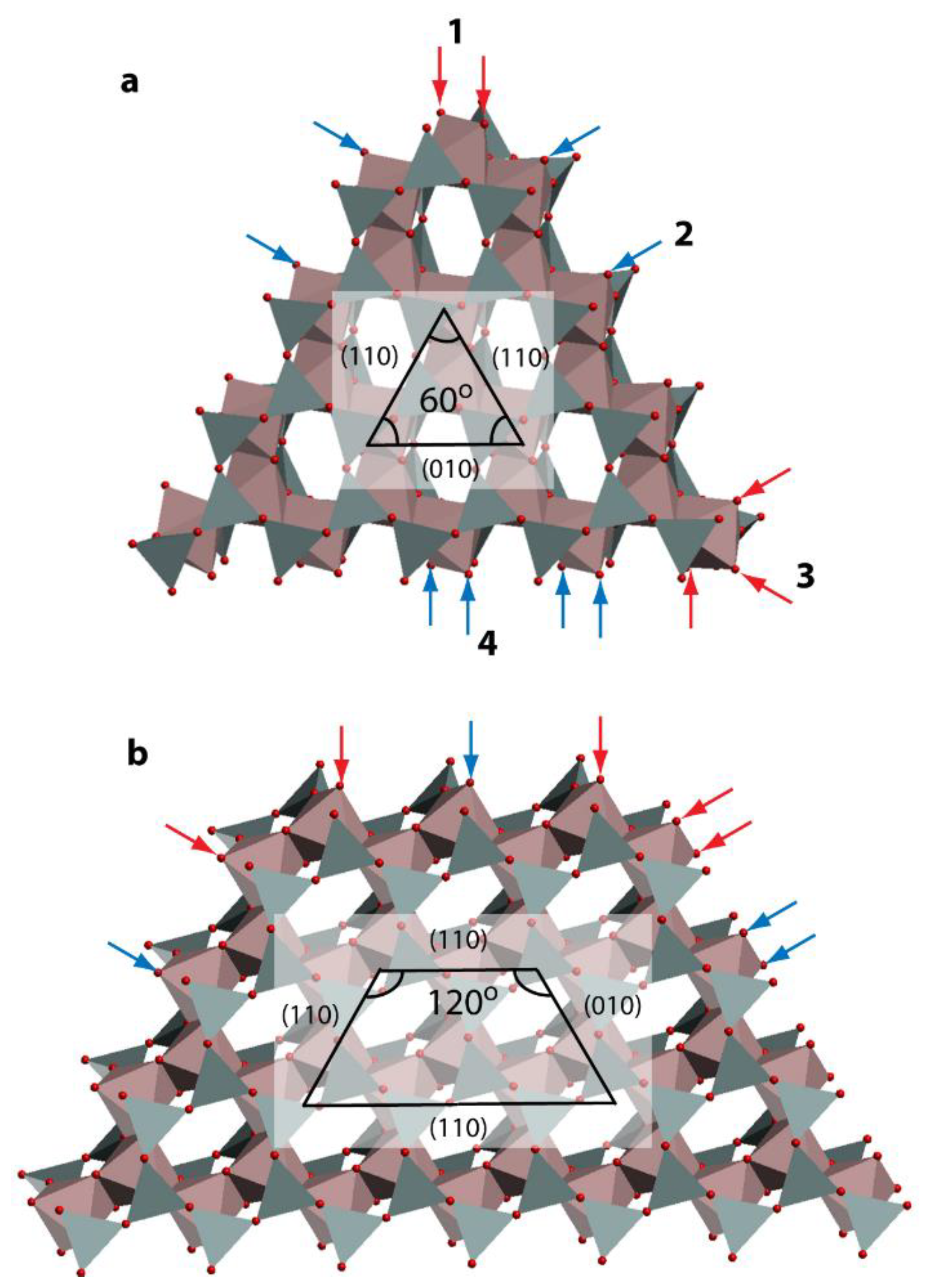 Ijms 24 09827 g005 Ijms 24 09827 g005