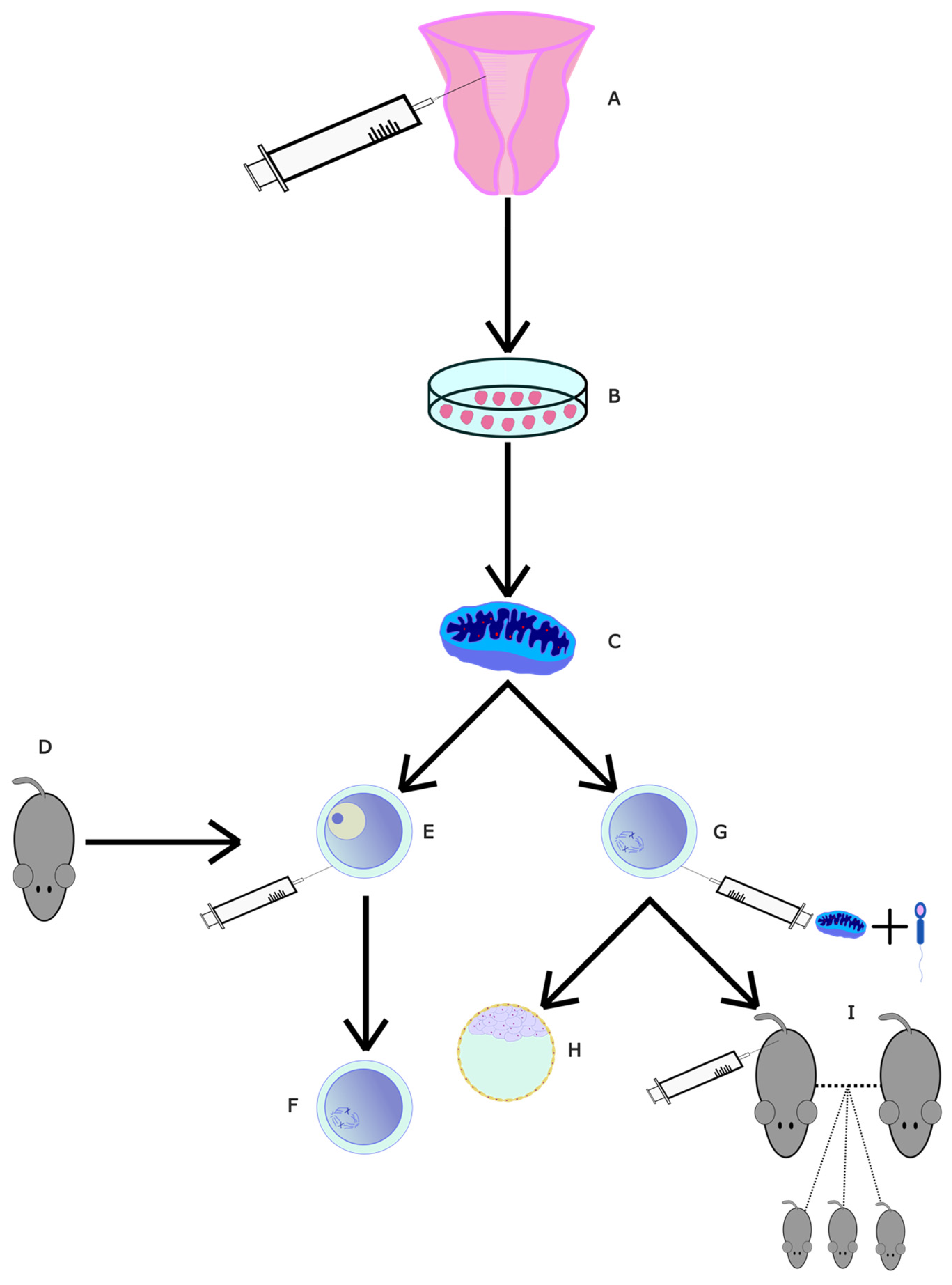 Ijms 24 09828 g005 Ijms 24 09828 g005
