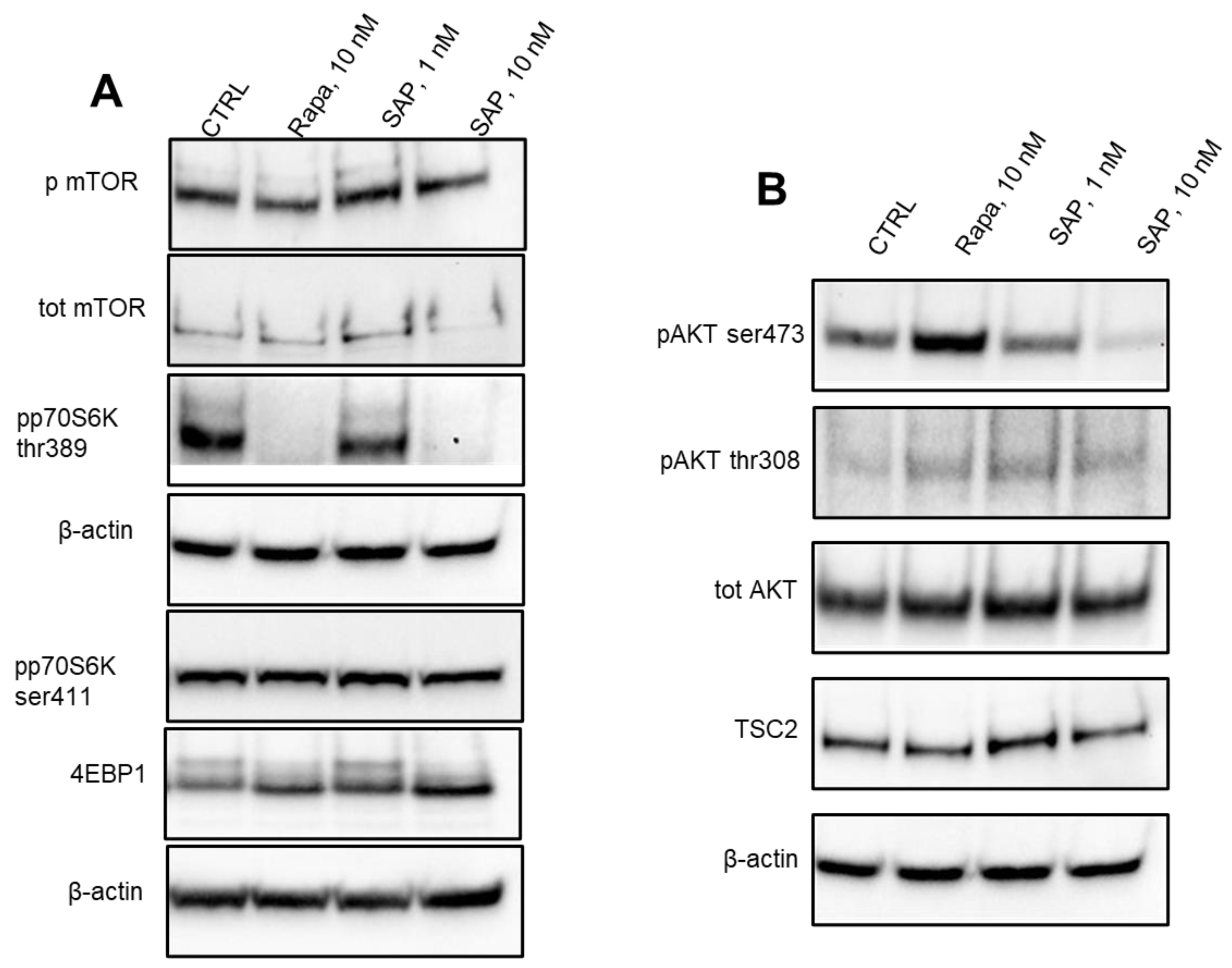 Ijms 24 09834 g001 Ijms 24 09834 g001