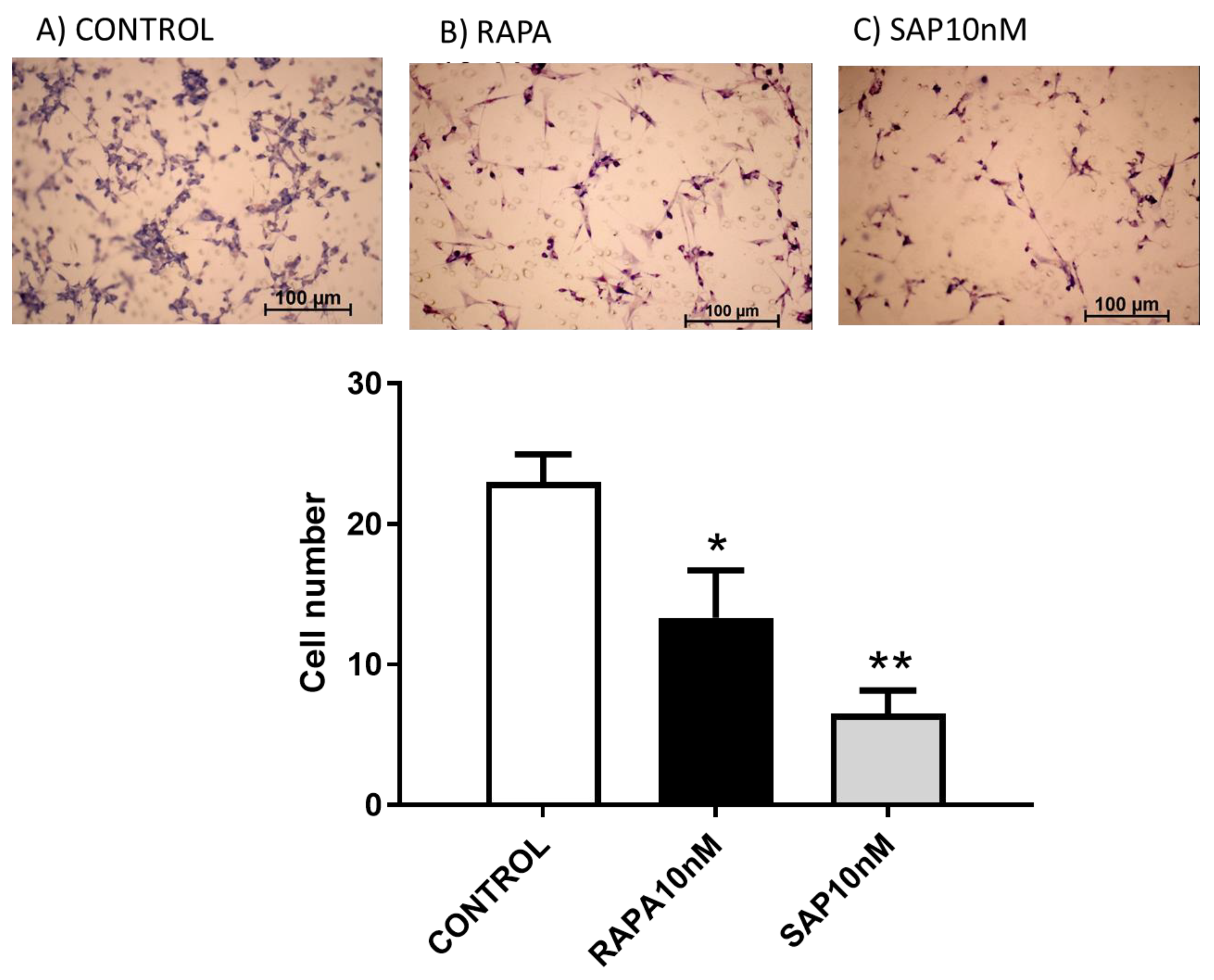 Ijms 24 09834 g003 Ijms 24 09834 g003