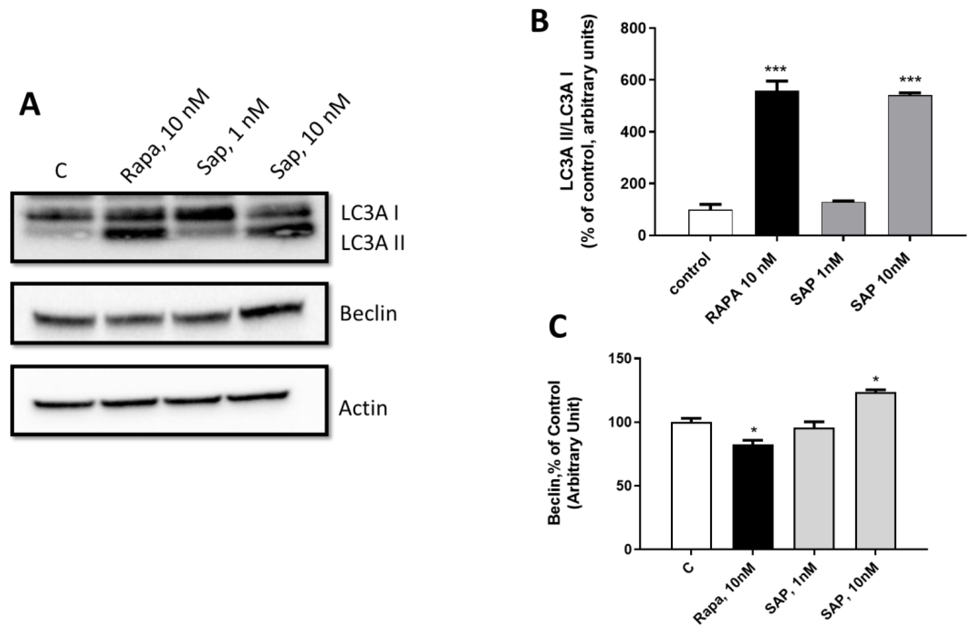 Ijms 24 09834 g006 Ijms 24 09834 g006
