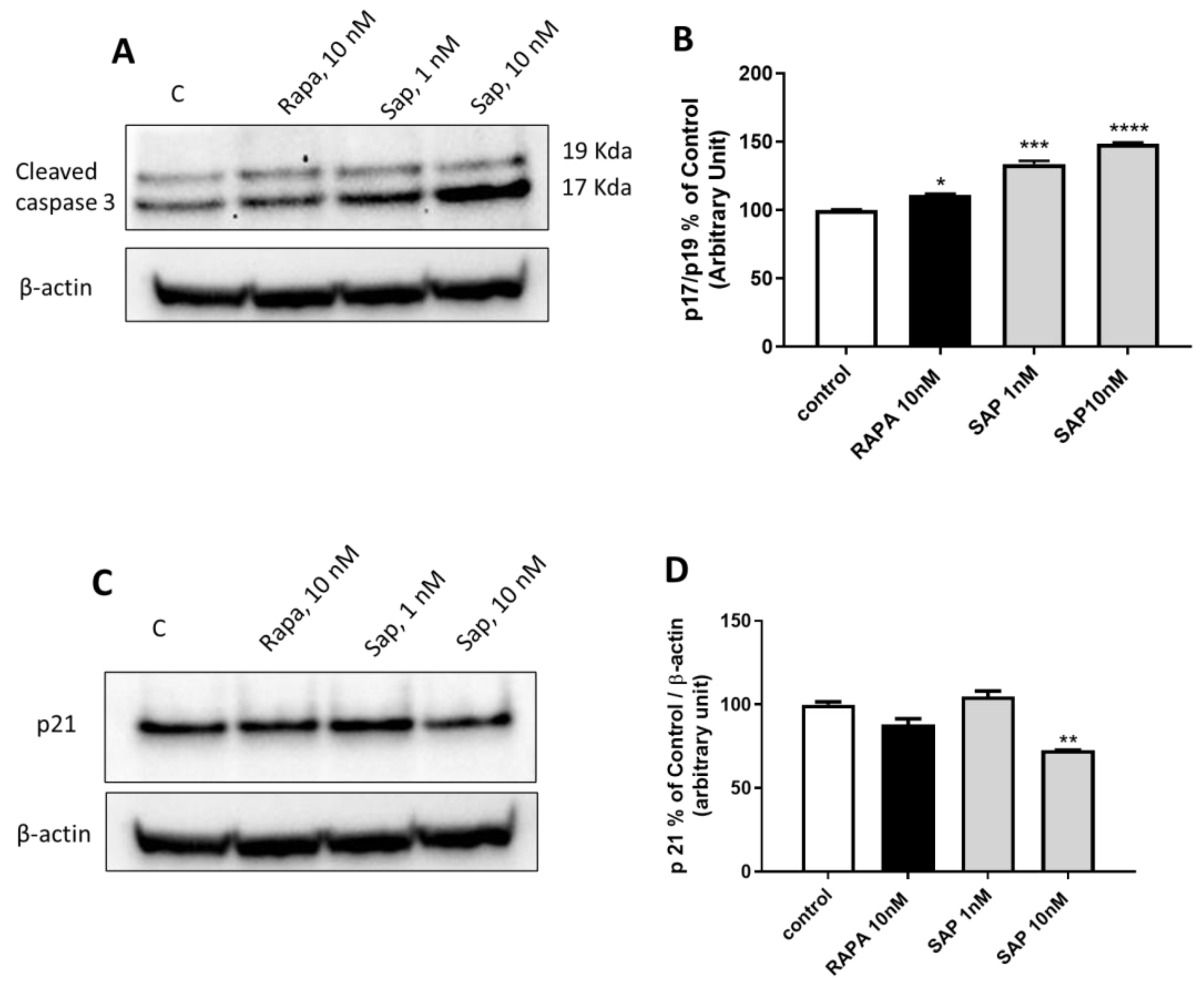 Ijms 24 09834 g007 Ijms 24 09834 g007