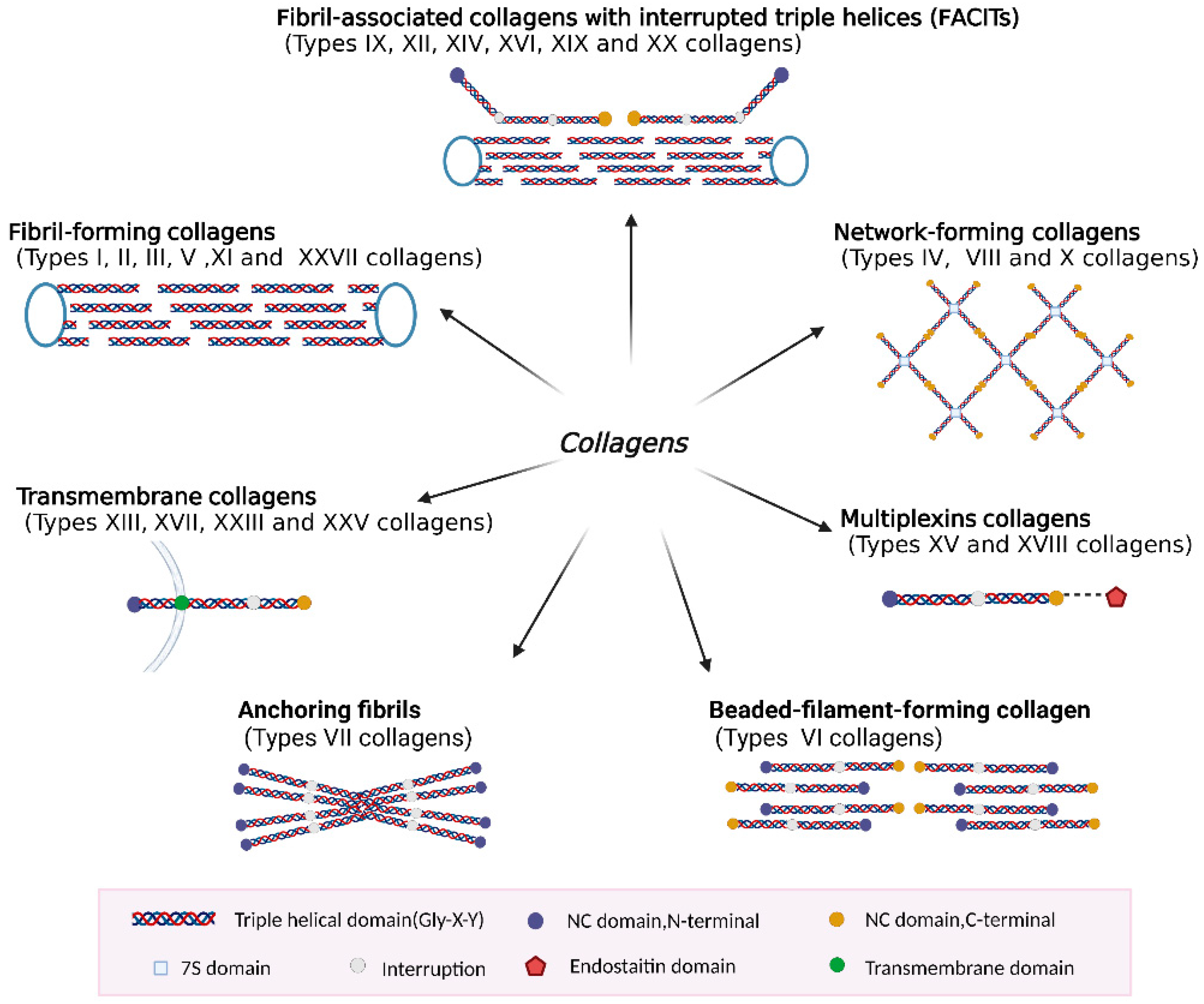 Ijms 24 09841 g001 Ijms 24 09841 g001