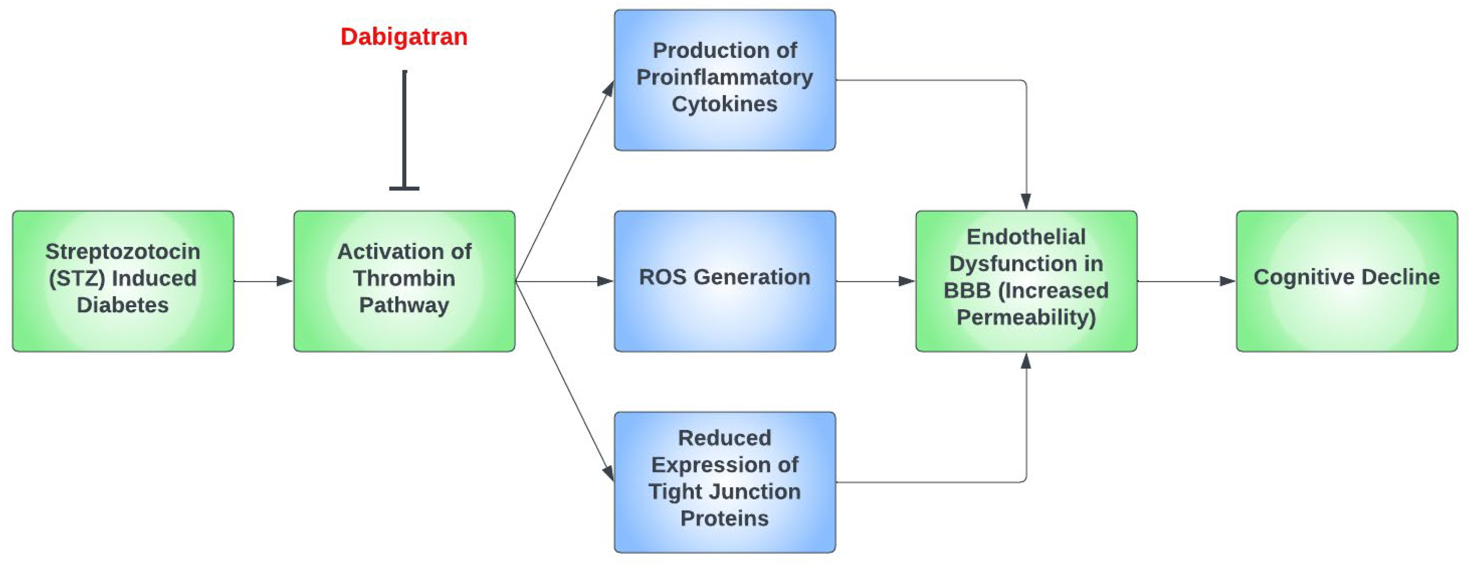 Ijms 24 09846 g002 Ijms 24 09846 g002