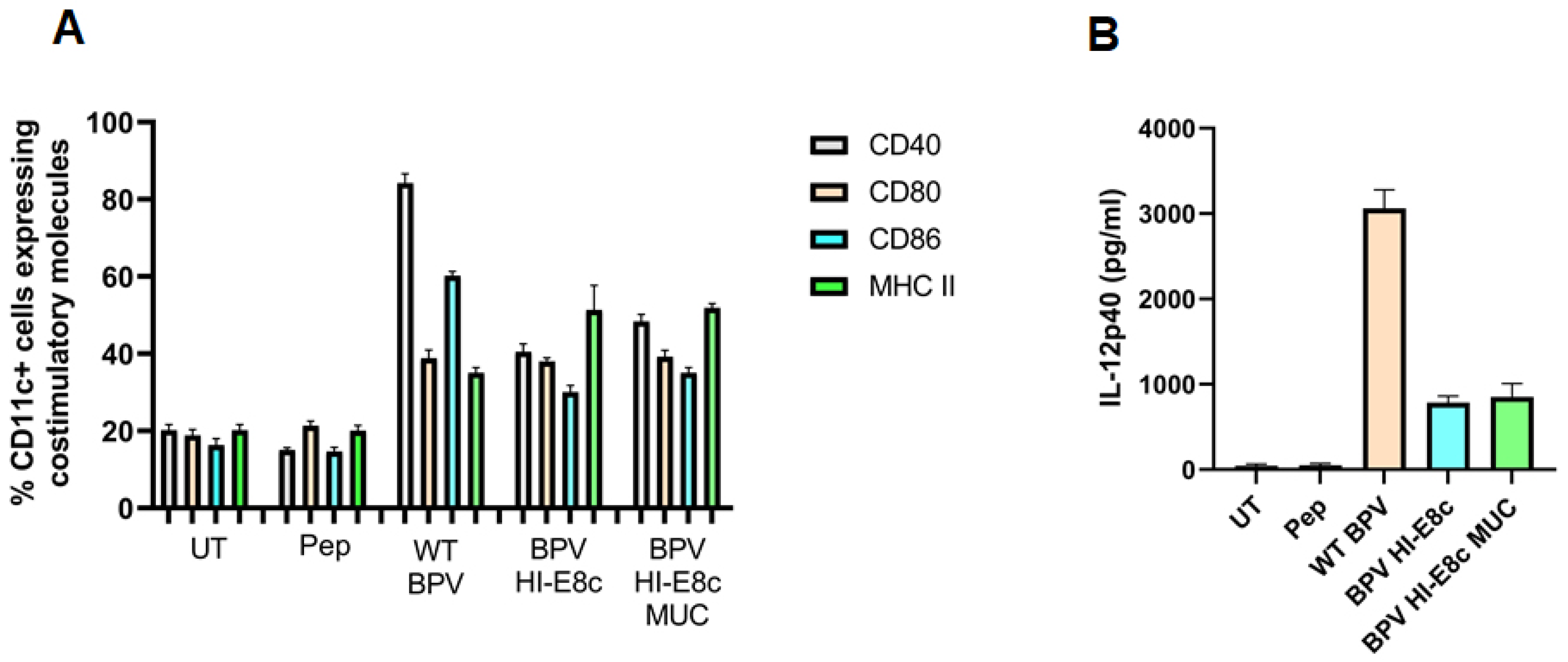 Ijms 24 09851 g003 Ijms 24 09851 g003
