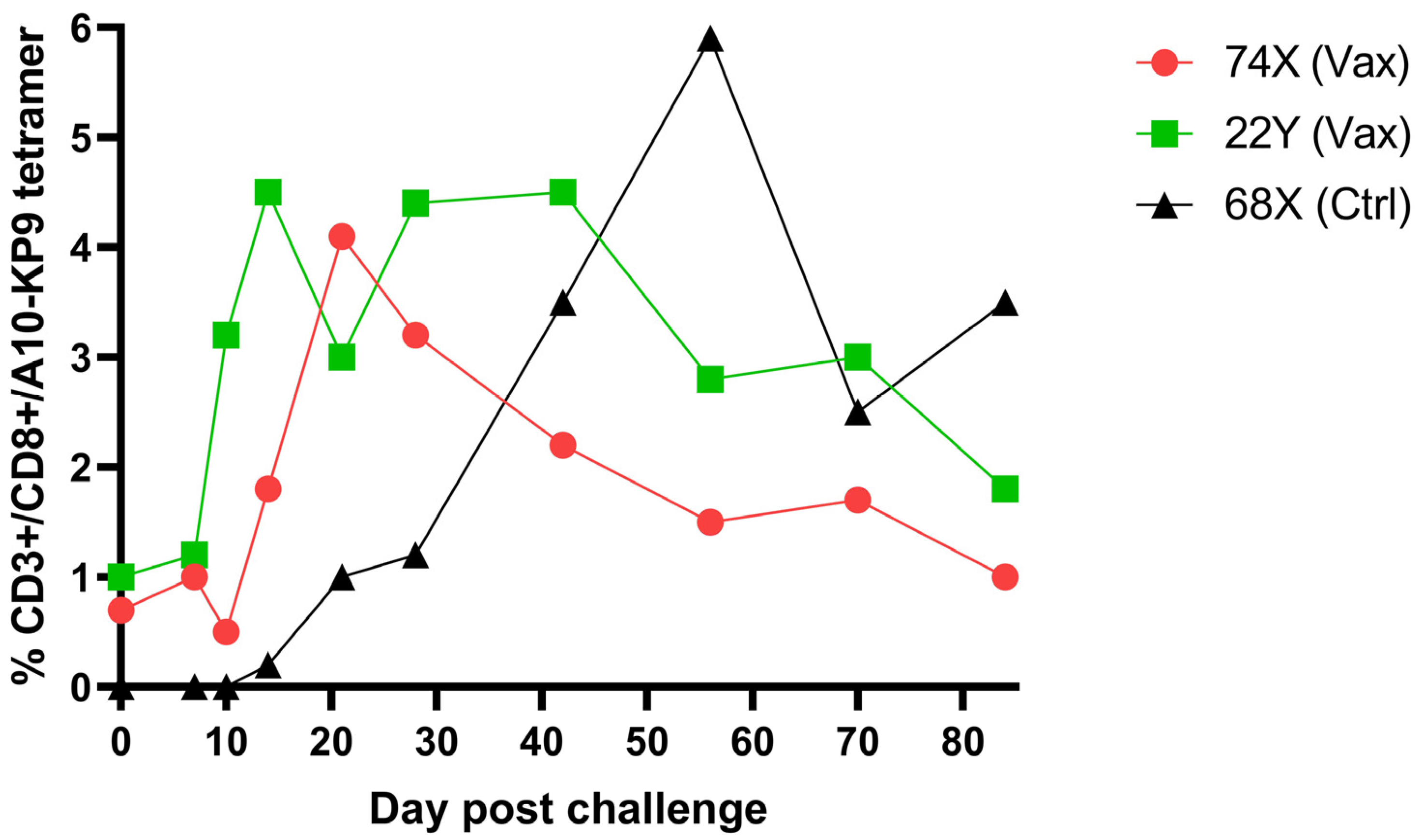 Ijms 24 09851 g007 Ijms 24 09851 g007