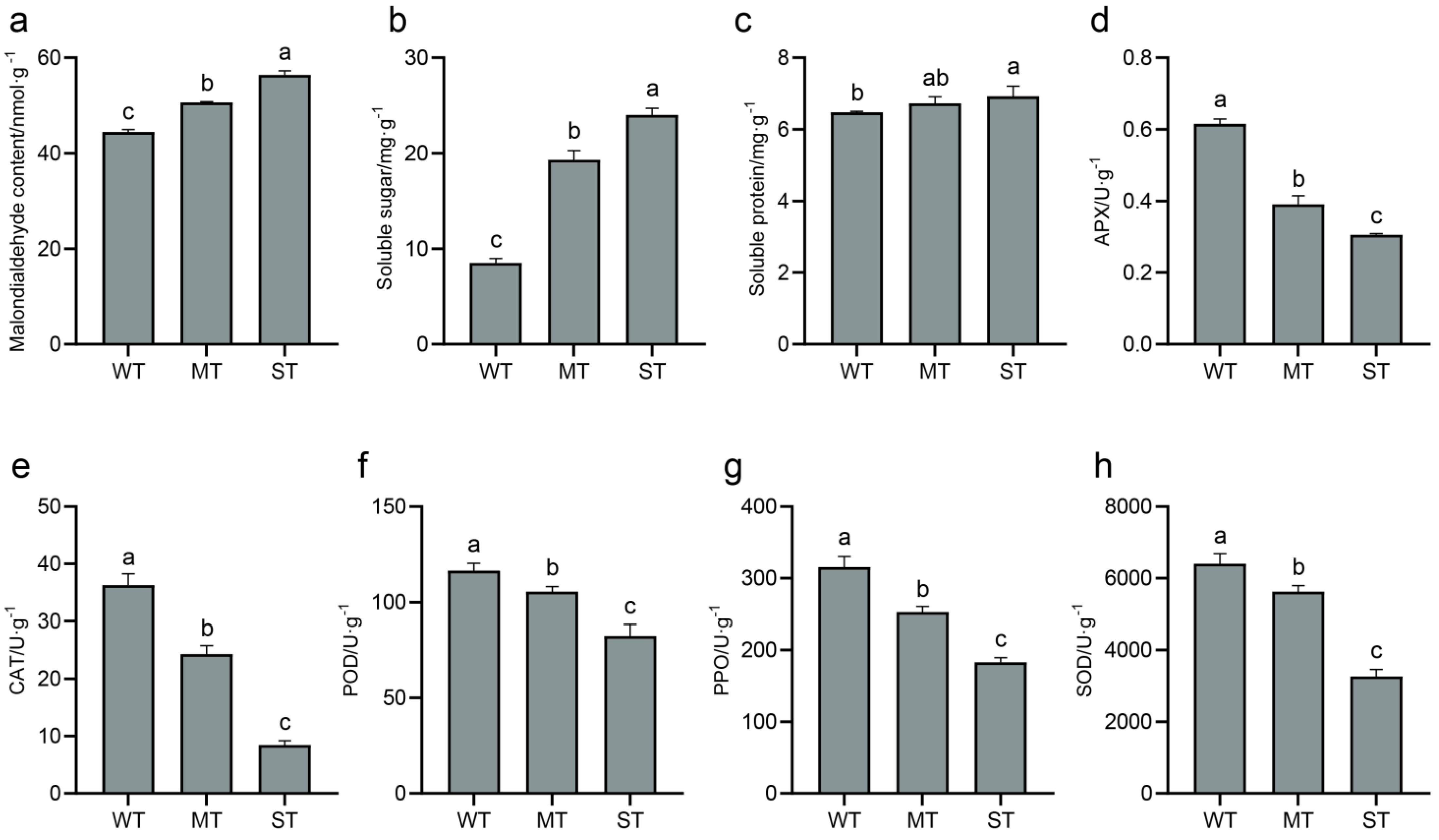 Ijms 24 09852 g002 Ijms 24 09852 g002