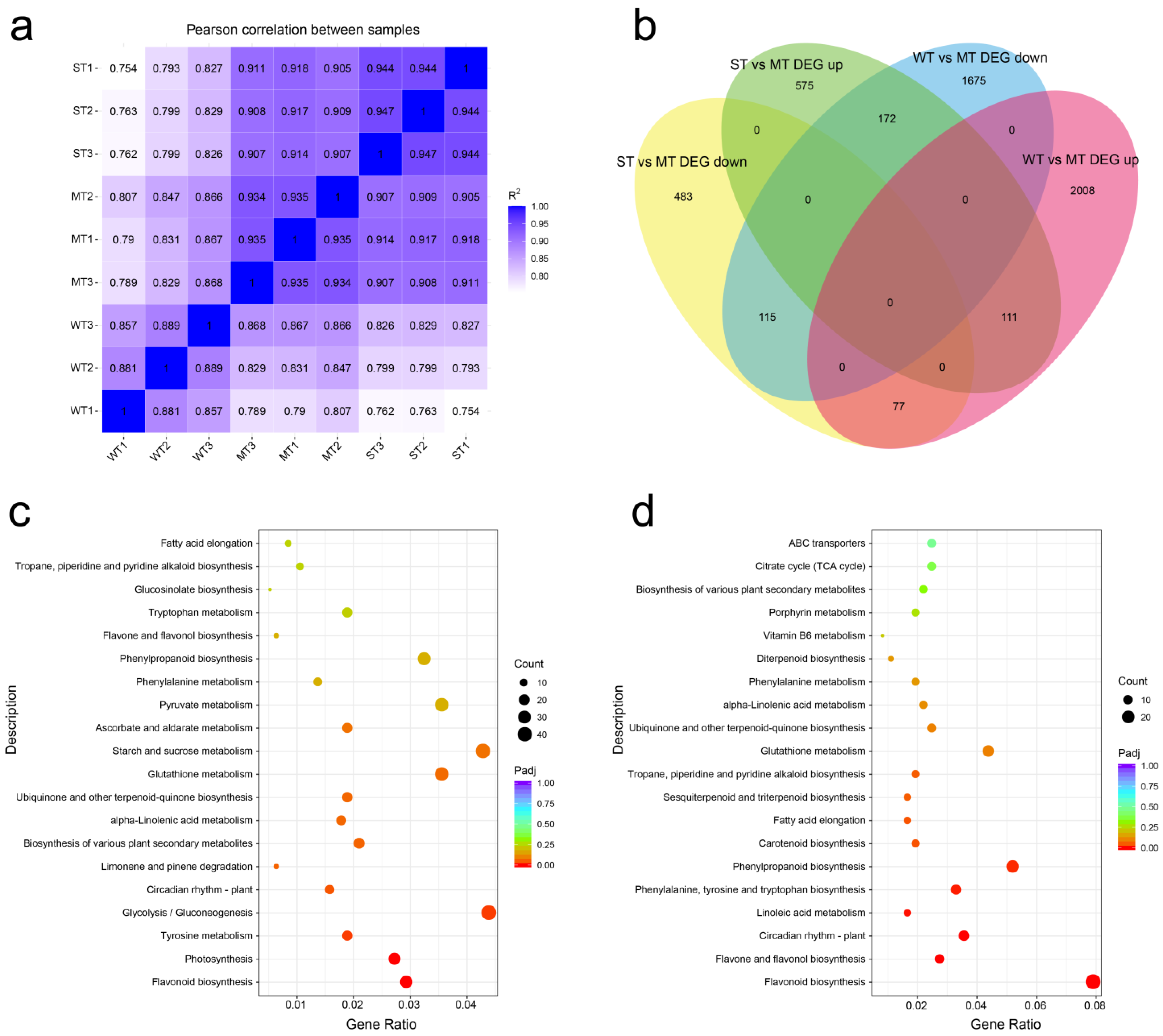 Ijms 24 09852 g004 Ijms 24 09852 g004
