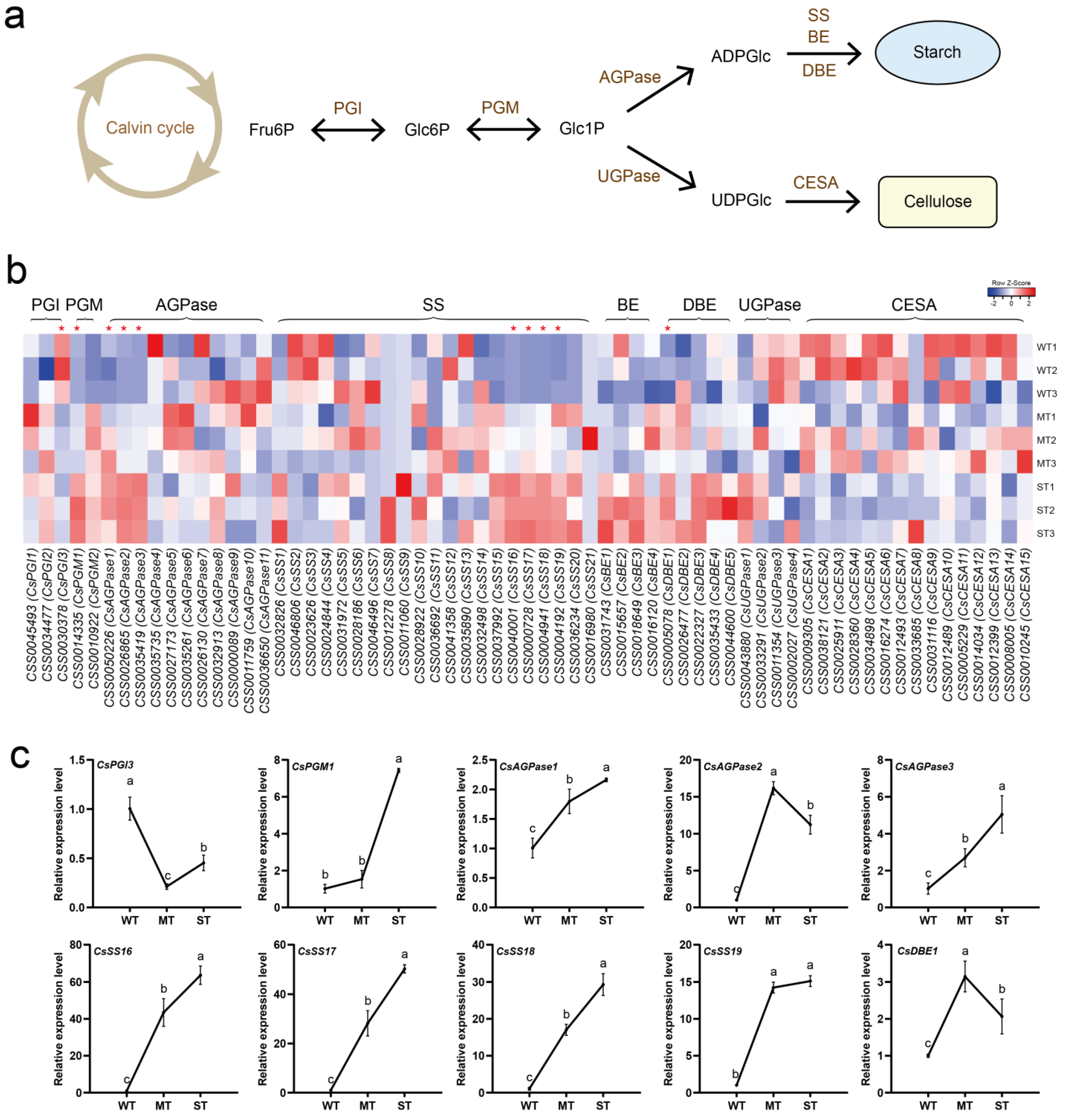 Ijms 24 09852 g005 Ijms 24 09852 g005
