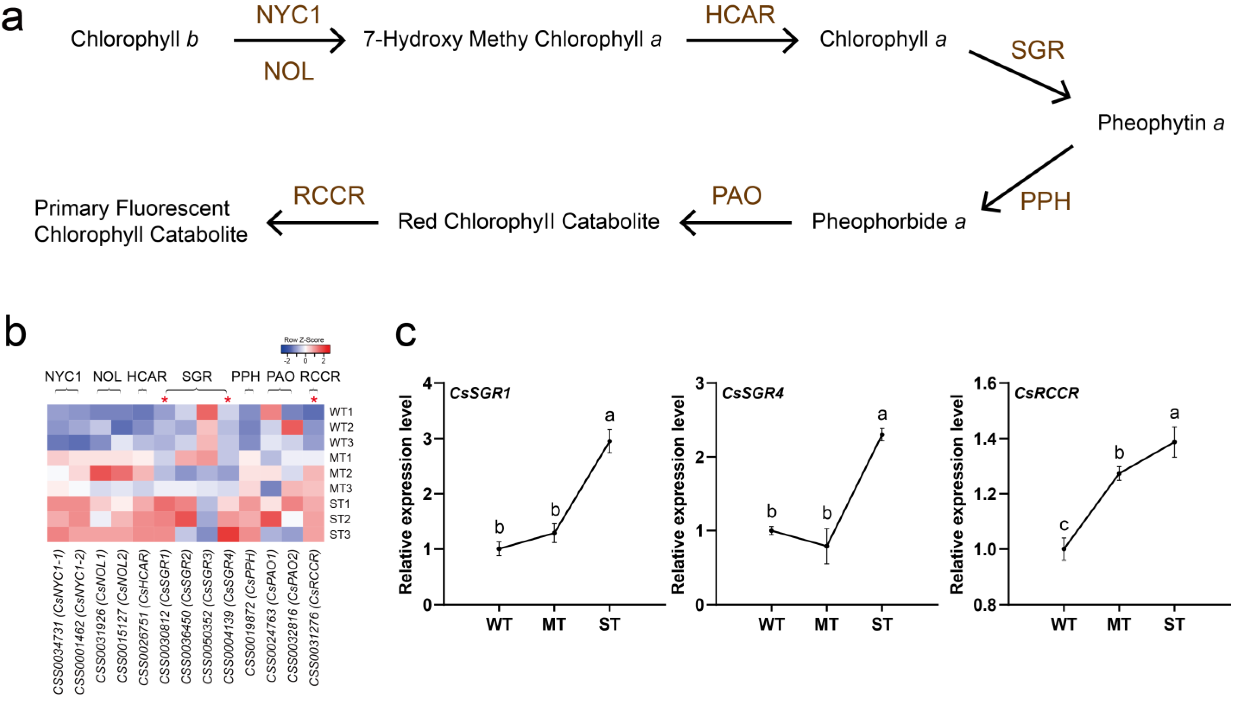 Ijms 24 09852 g006 Ijms 24 09852 g006