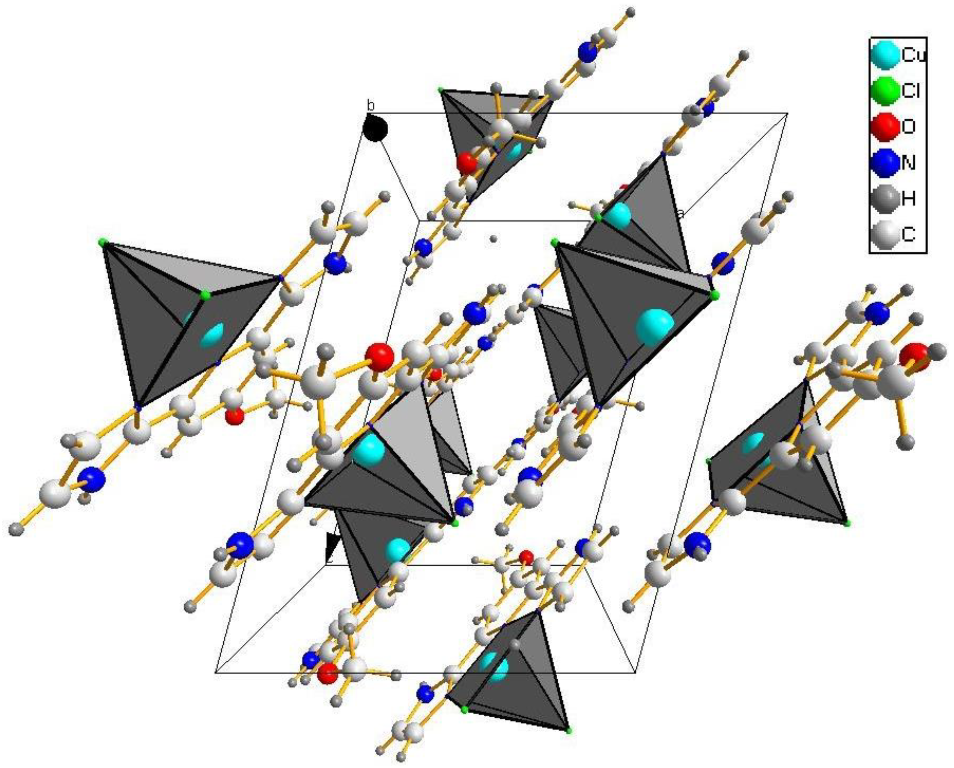 Ijms 24 09853 g002 Ijms 24 09853 g002