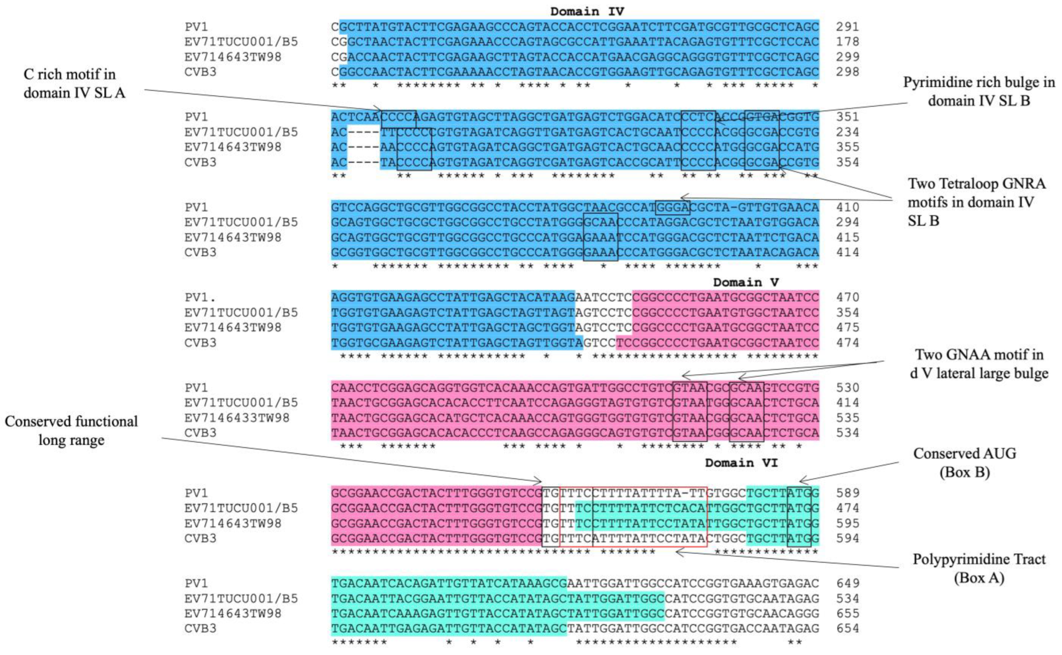 Ijms 24 09865 g002 Ijms 24 09865 g002