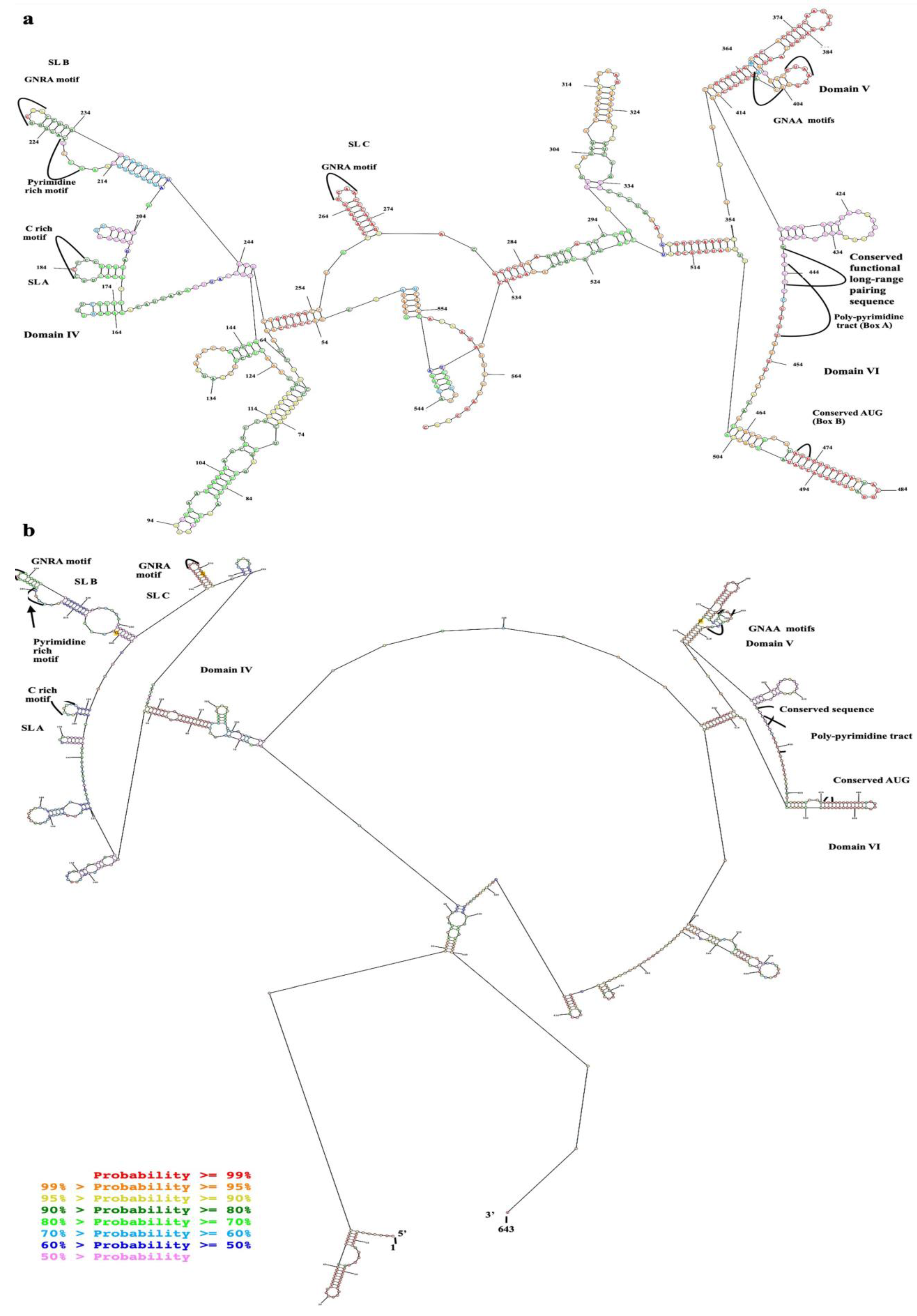 Ijms 24 09865 g003 Ijms 24 09865 g003