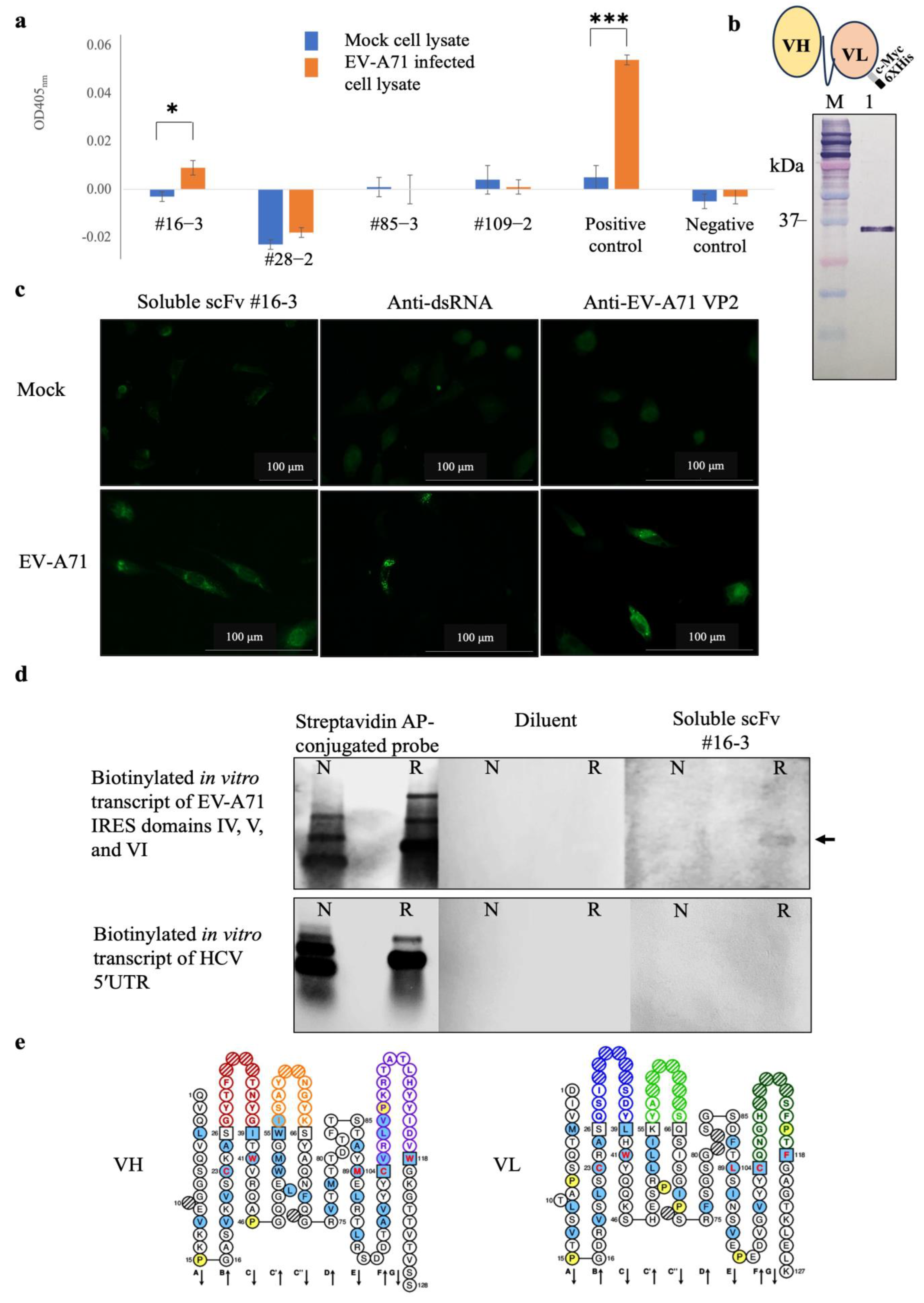Ijms 24 09865 g005 Ijms 24 09865 g005