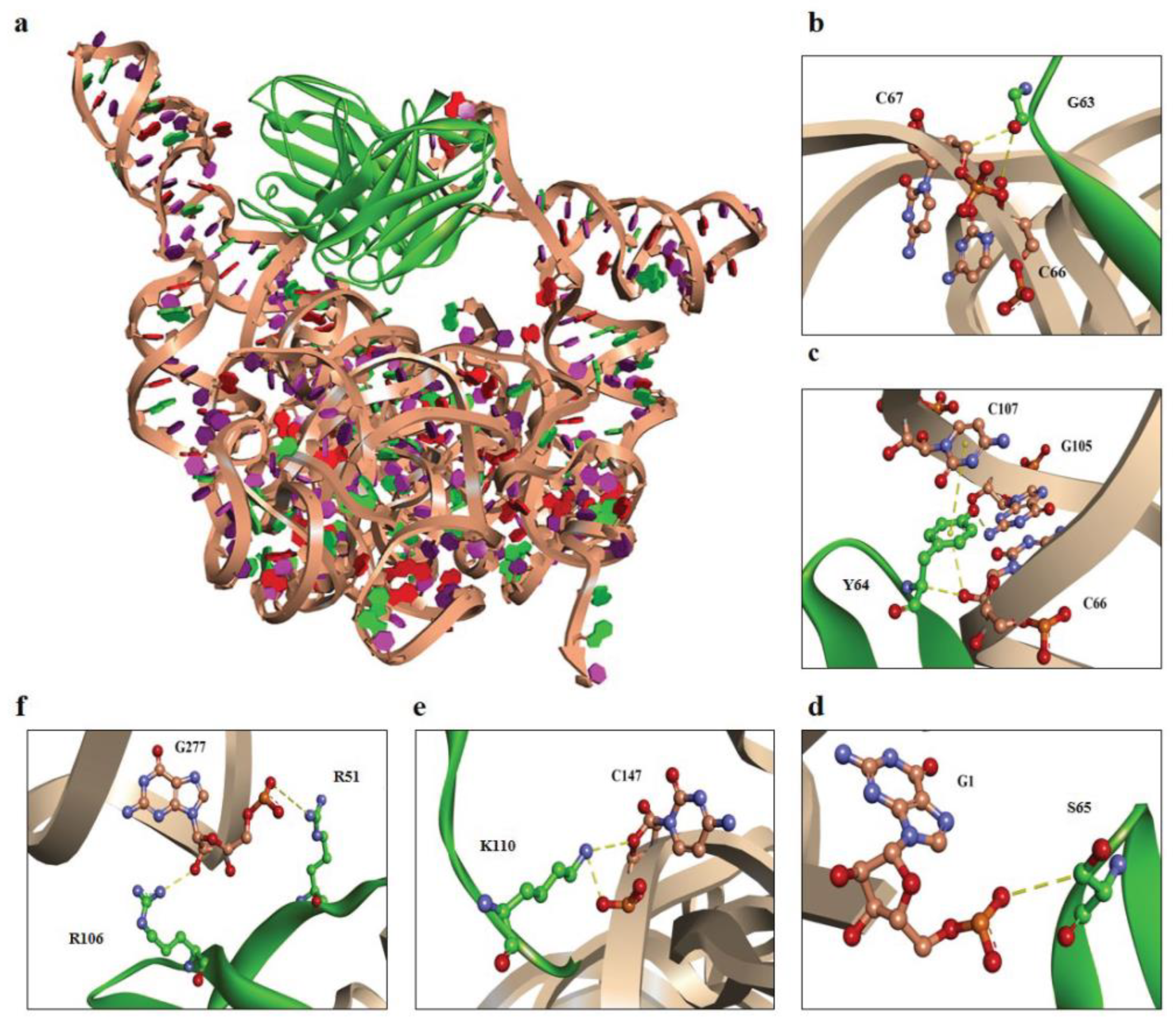 Ijms 24 09865 g006 Ijms 24 09865 g006