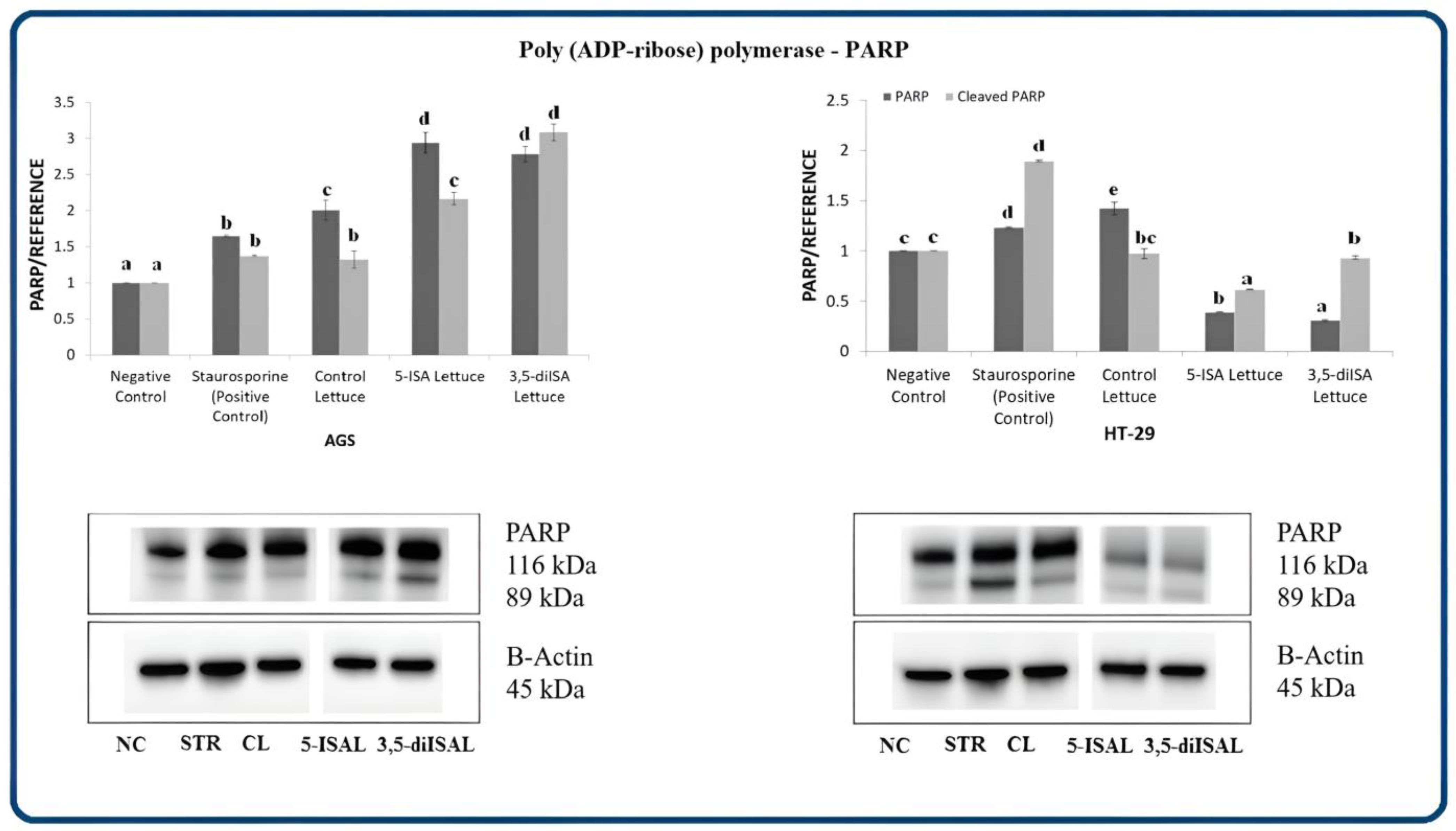 Ijms 24 09869 g005 Ijms 24 09869 g005