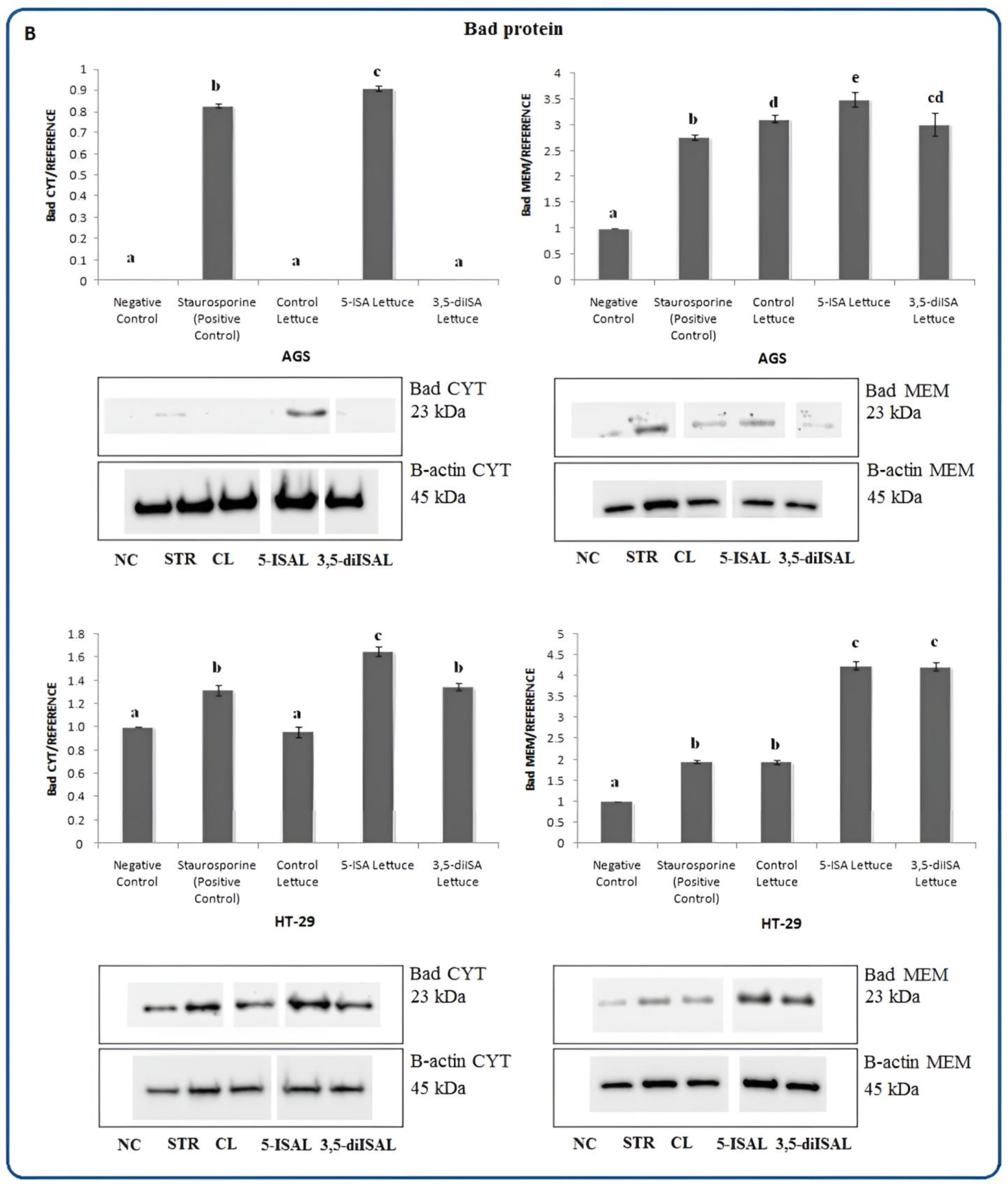 Ijms 24 09869 g008b Ijms 24 09869 g008b