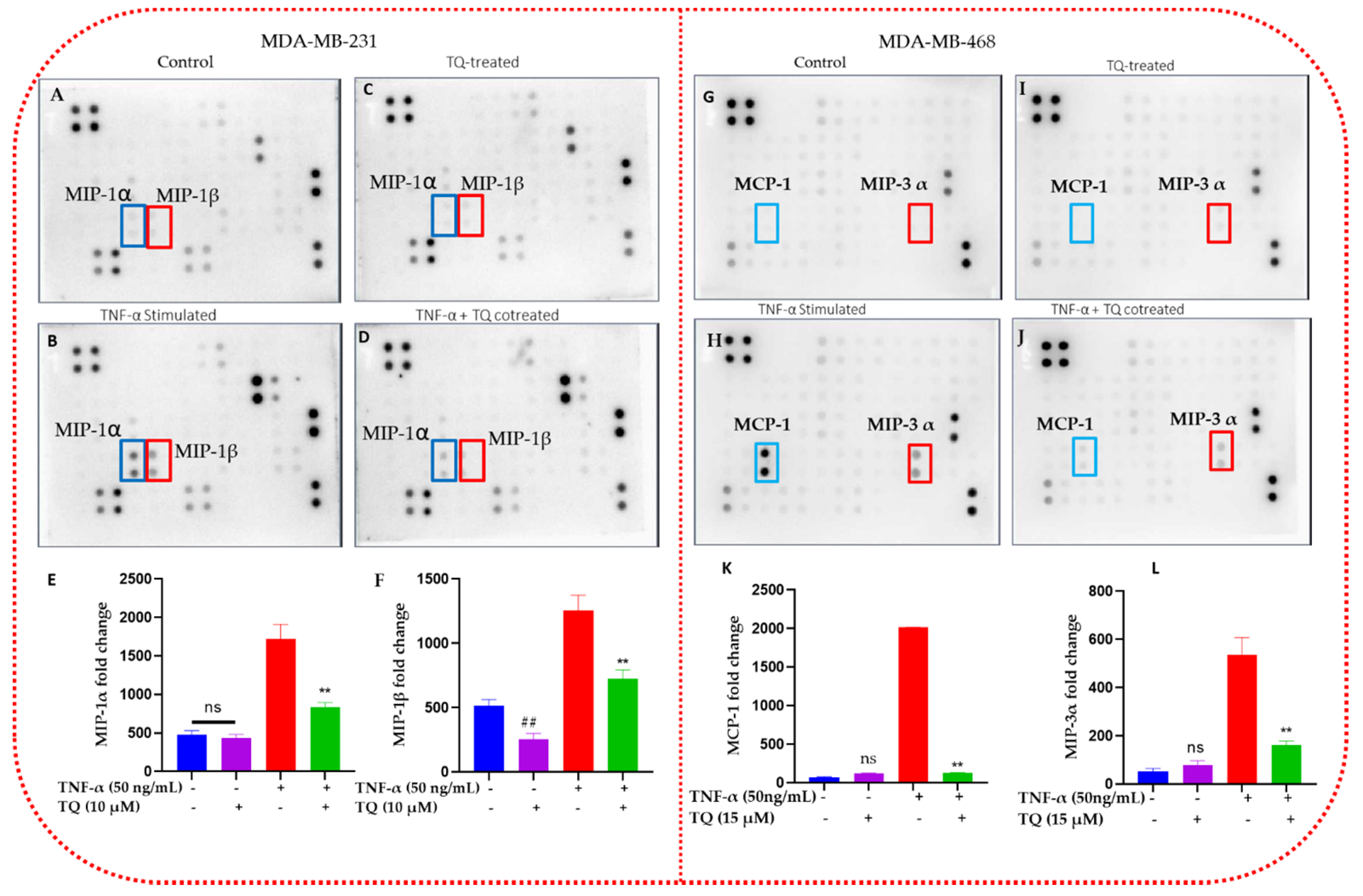 Ijms 24 09878 g005 Ijms 24 09878 g005