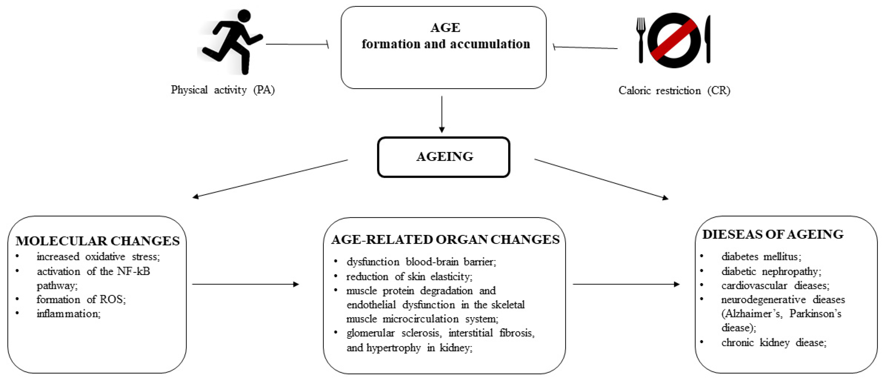 Ijms 24 09881 g004 Ijms 24 09881 g004
