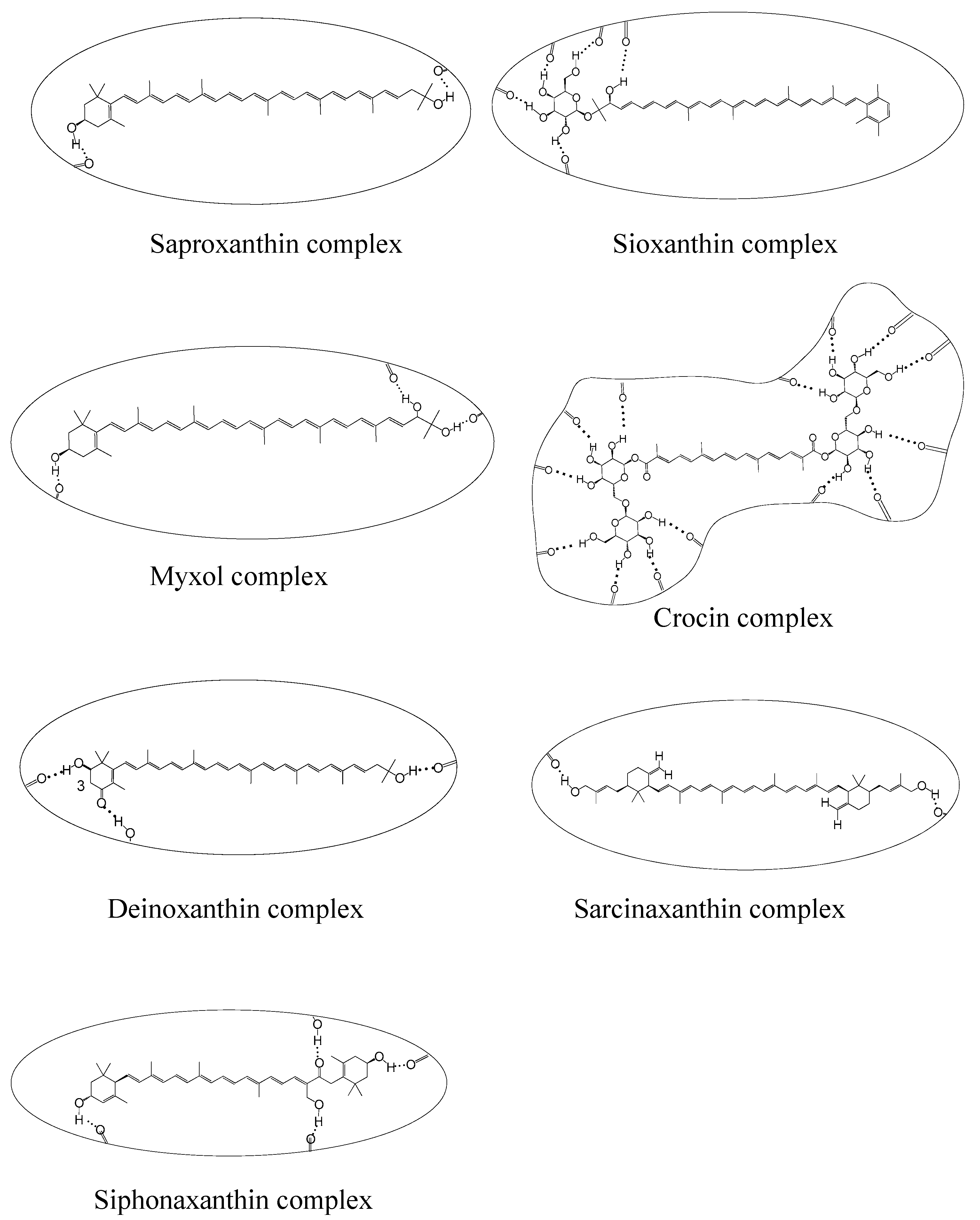 Ijms 24 09885 g004 Ijms 24 09885 g004