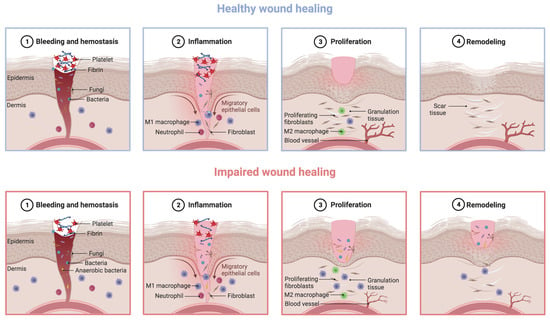 IJMS | Free Full-Text | Innovative Functional Biomaterials as ...