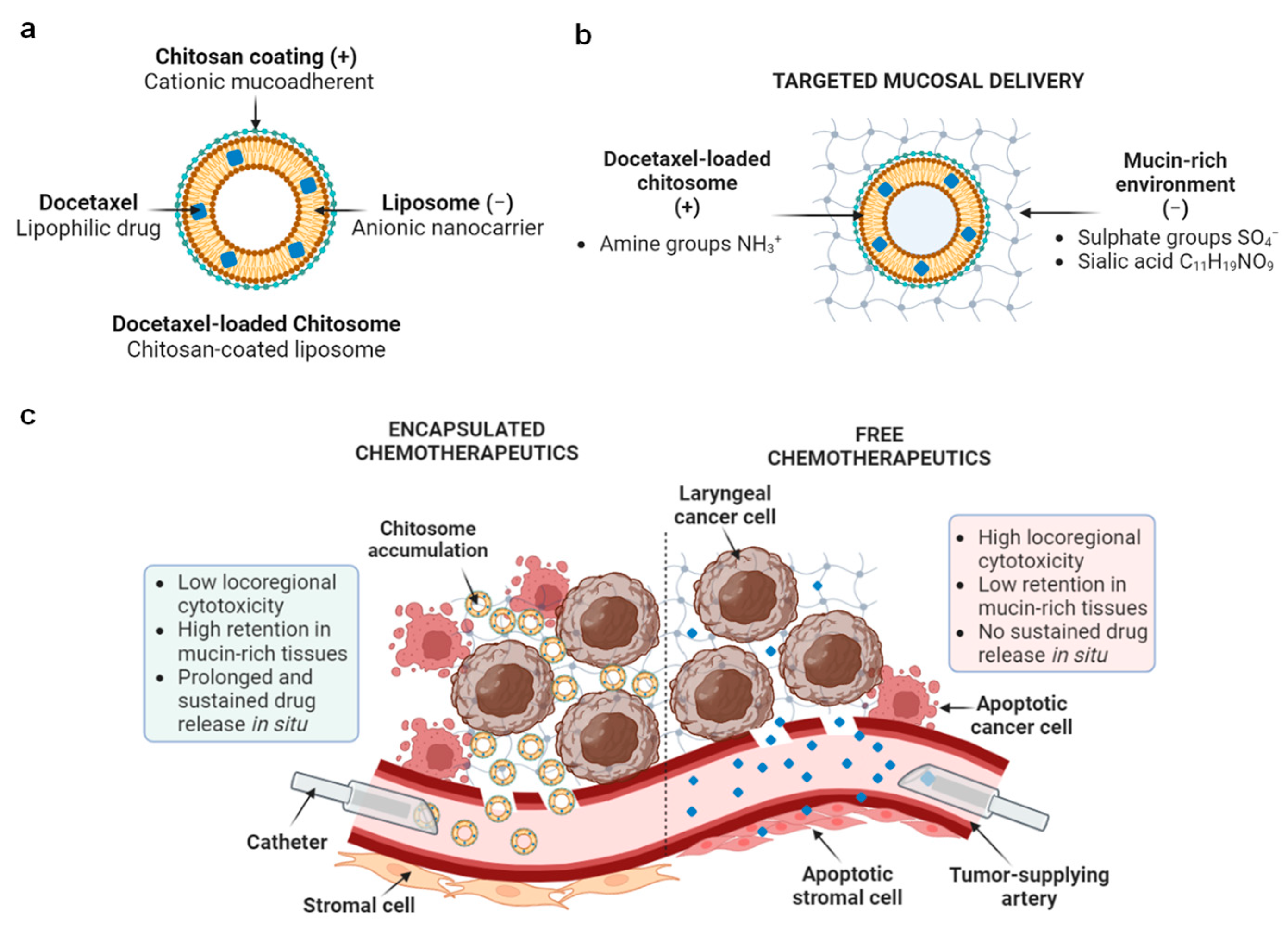Ijms 24 09902 g001 Ijms 24 09902 g001