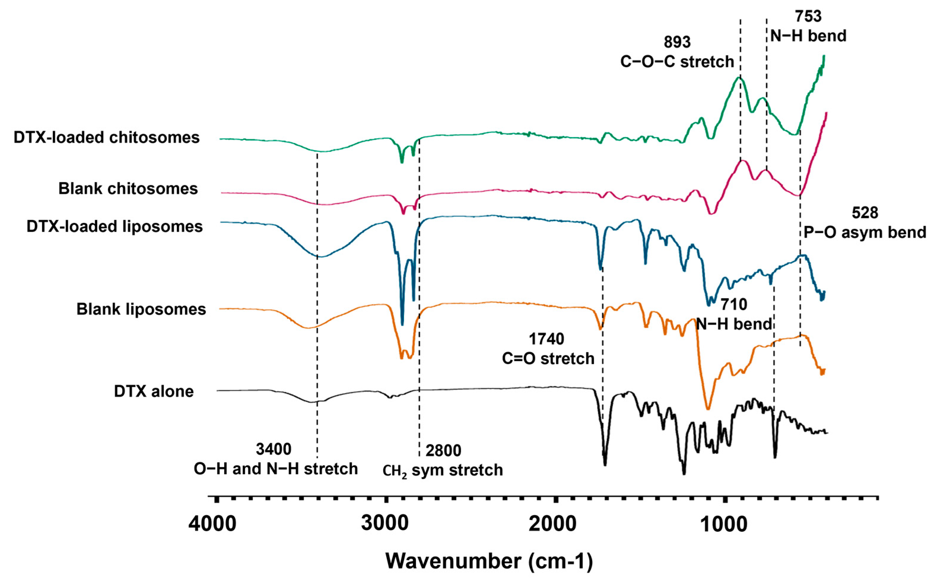 Ijms 24 09902 g003 Ijms 24 09902 g003
