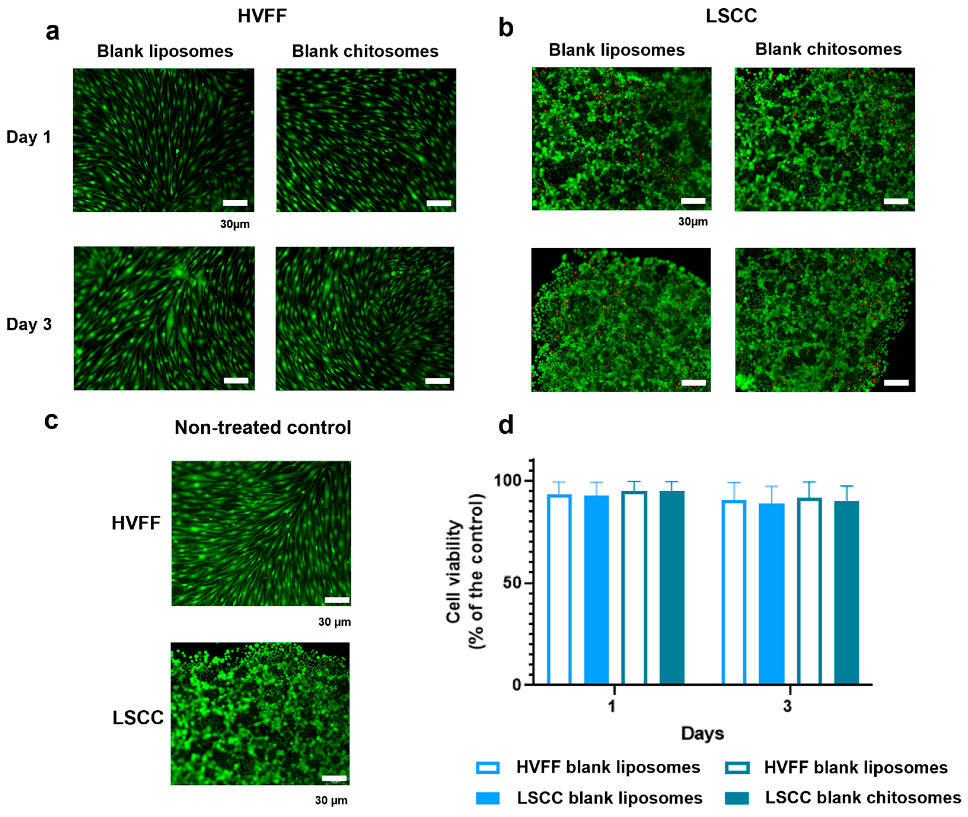 Ijms 24 09902 g006 Ijms 24 09902 g006