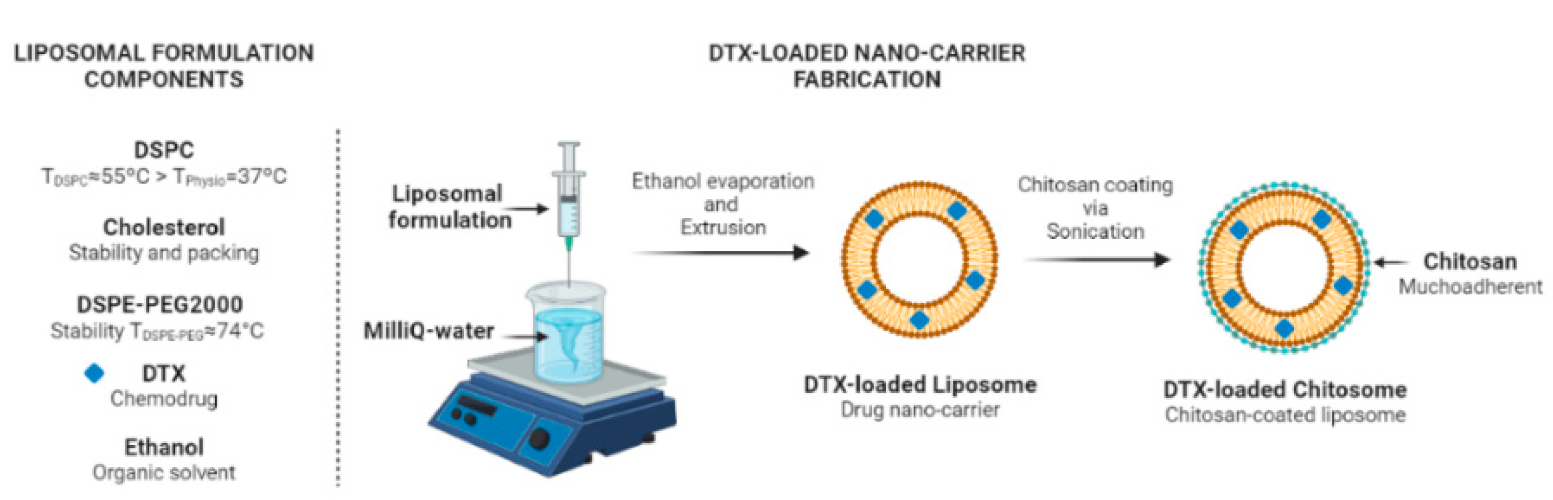 Ijms 24 09902 g012 Ijms 24 09902 g012