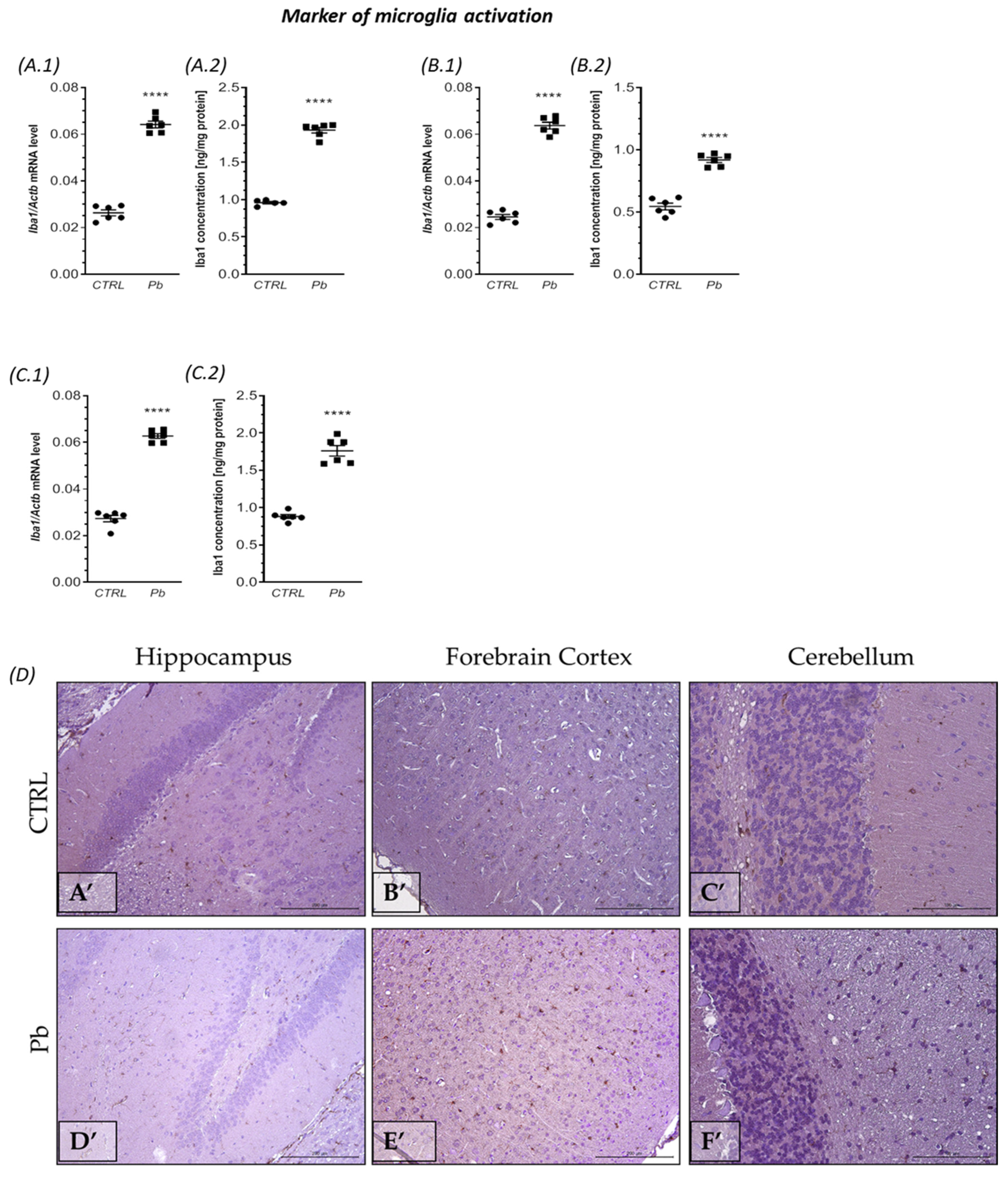 Ijms 24 09903 g001 Ijms 24 09903 g001
