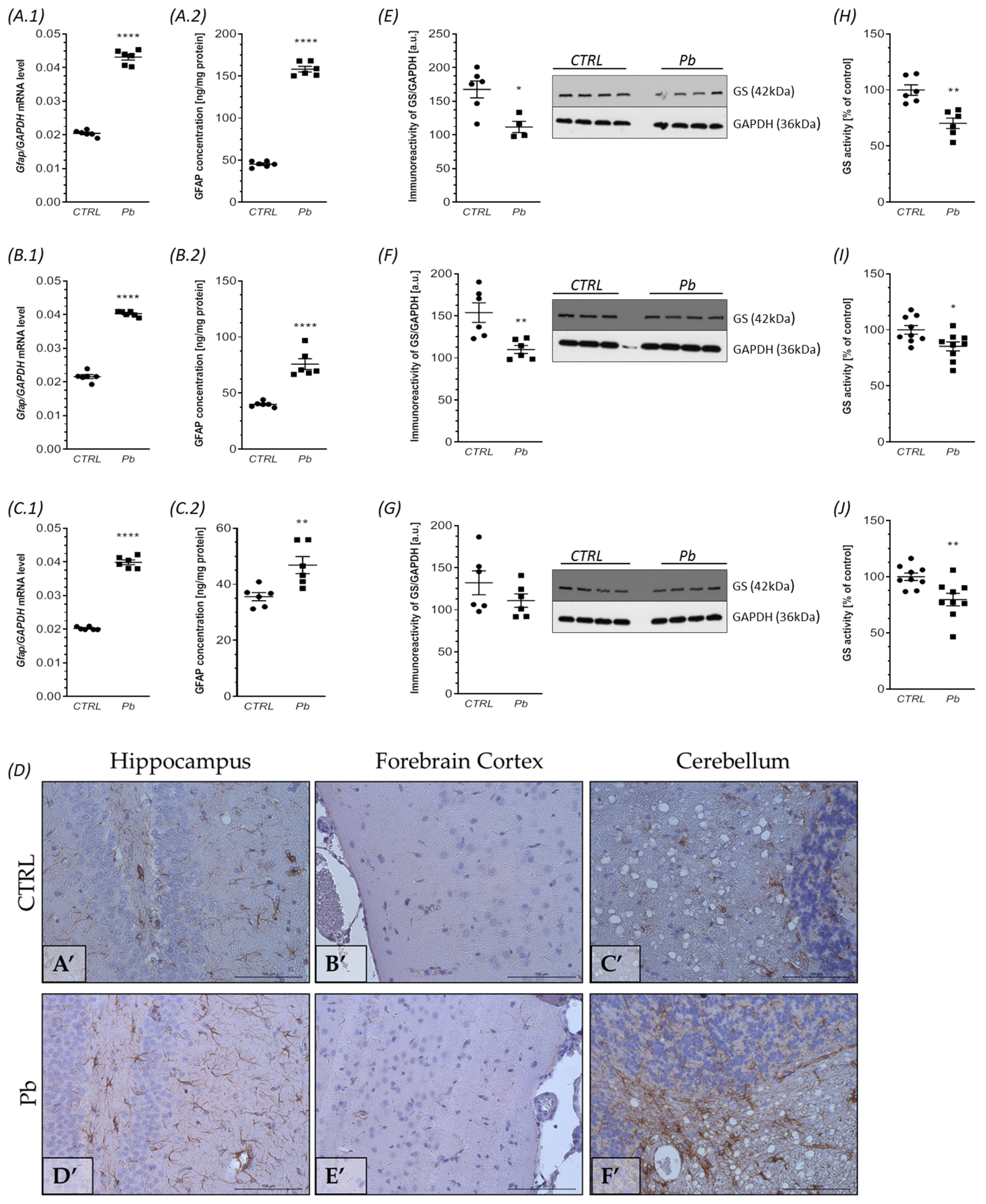Ijms 24 09903 g006 Ijms 24 09903 g006
