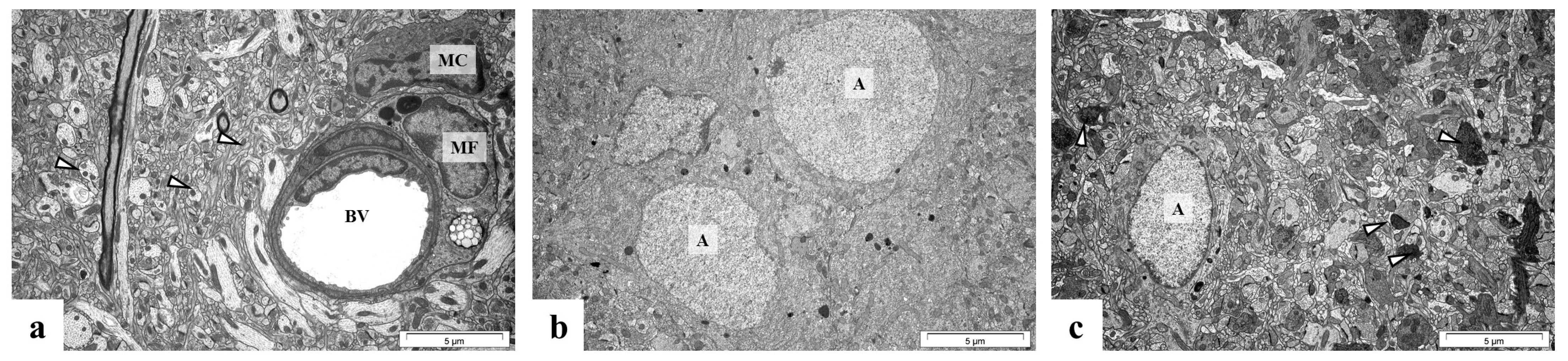 Ijms 24 09903 g008 Ijms 24 09903 g008