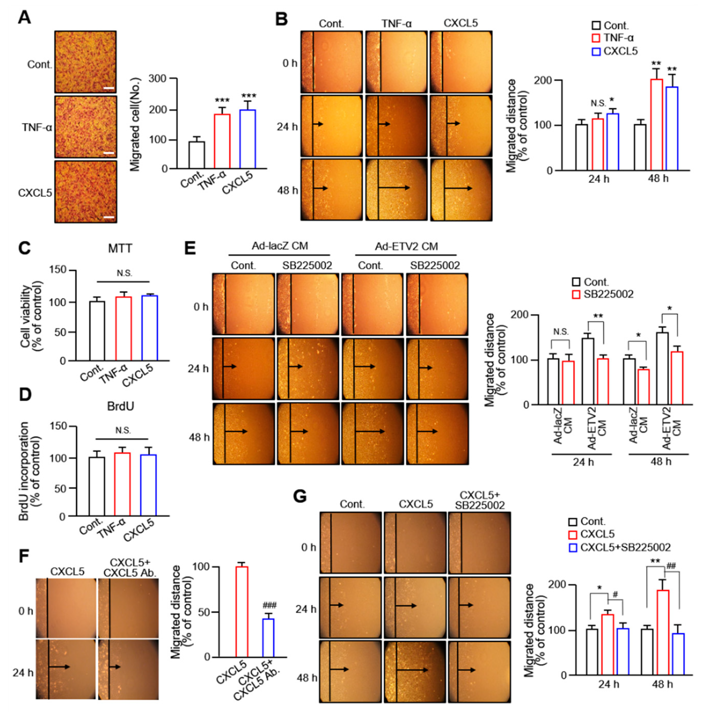 Ijms 24 09904 g002 Ijms 24 09904 g002