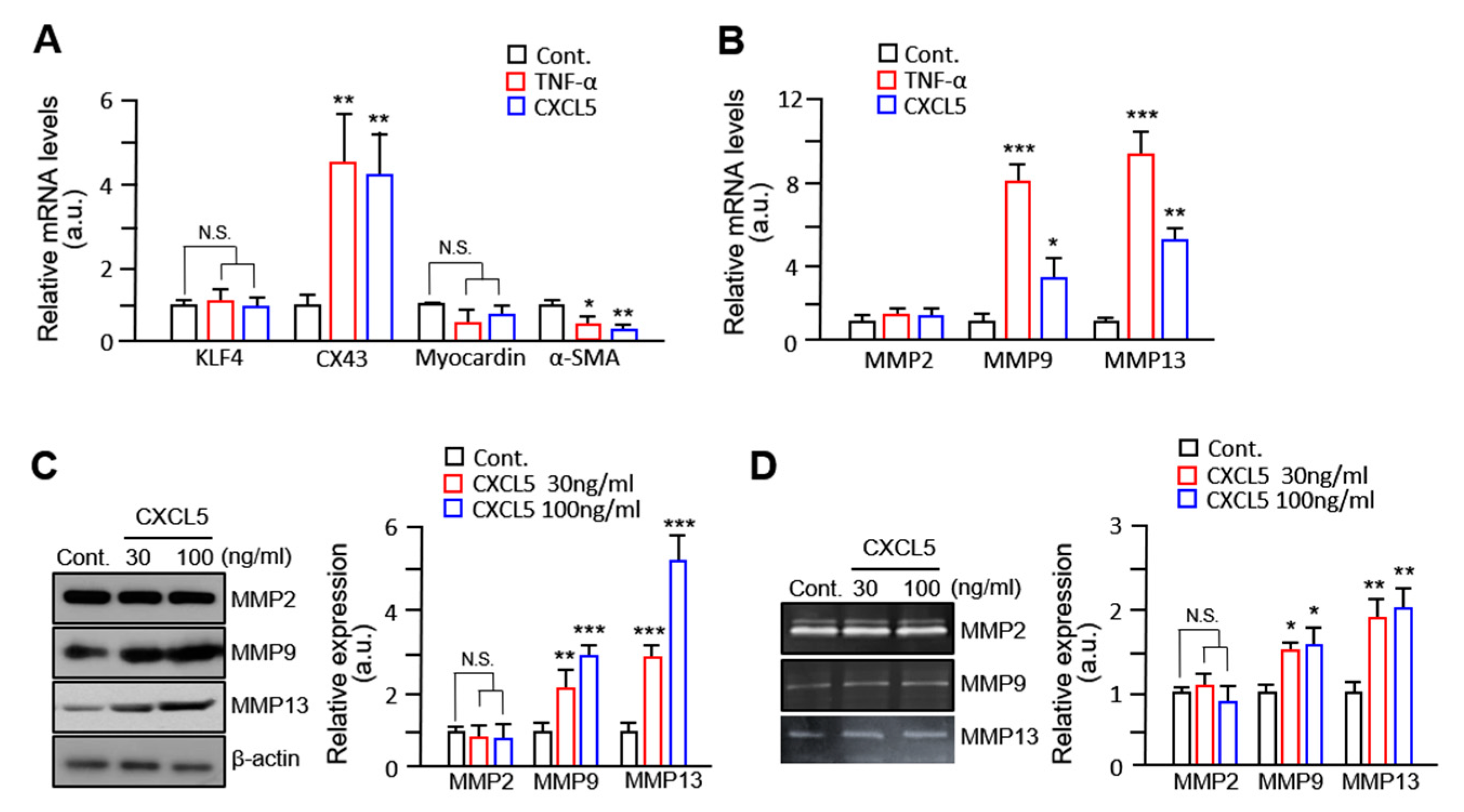 Ijms 24 09904 g003 Ijms 24 09904 g003