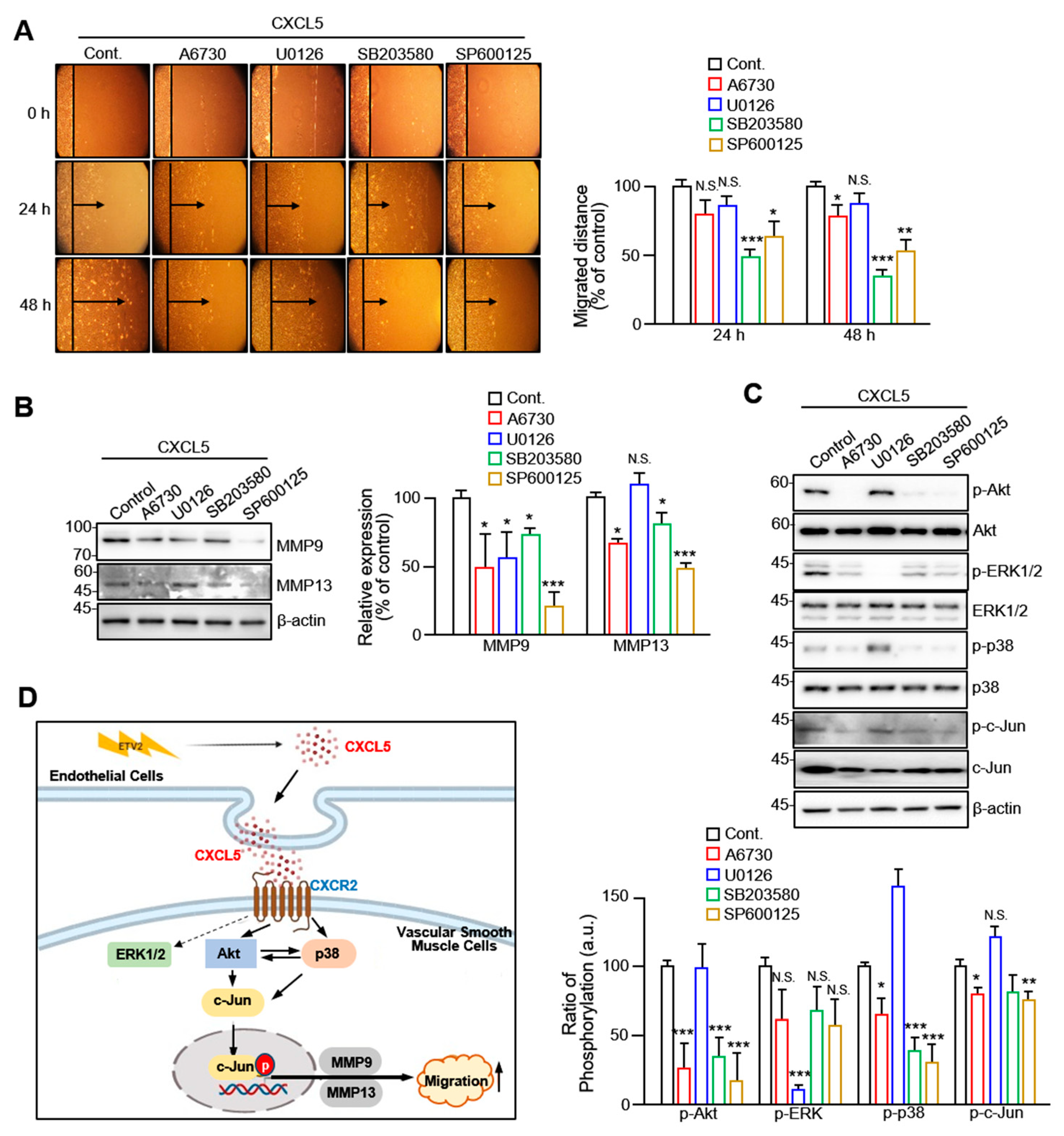 Ijms 24 09904 g005 Ijms 24 09904 g005