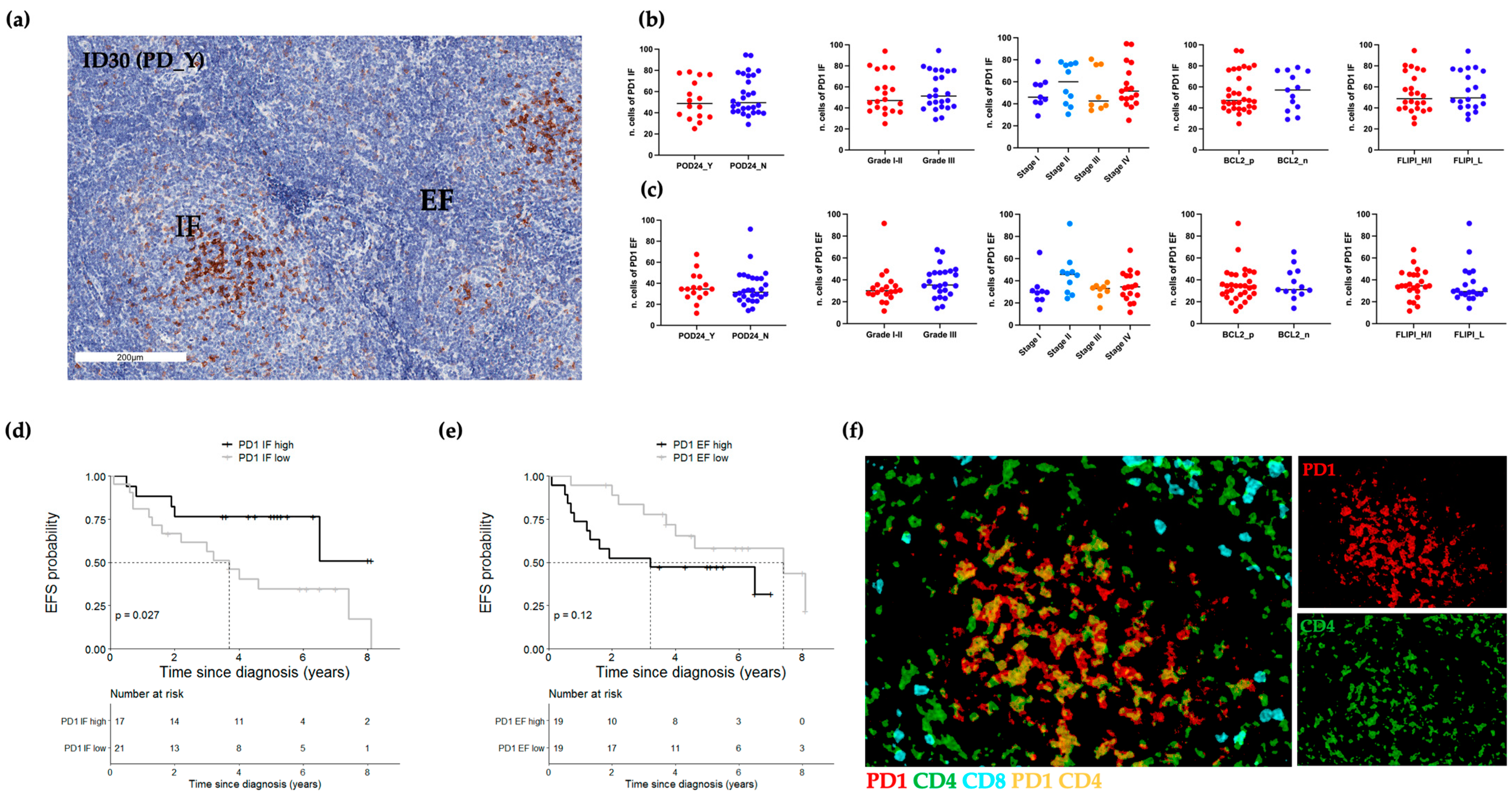 Ijms 24 09909 g006 Ijms 24 09909 g006