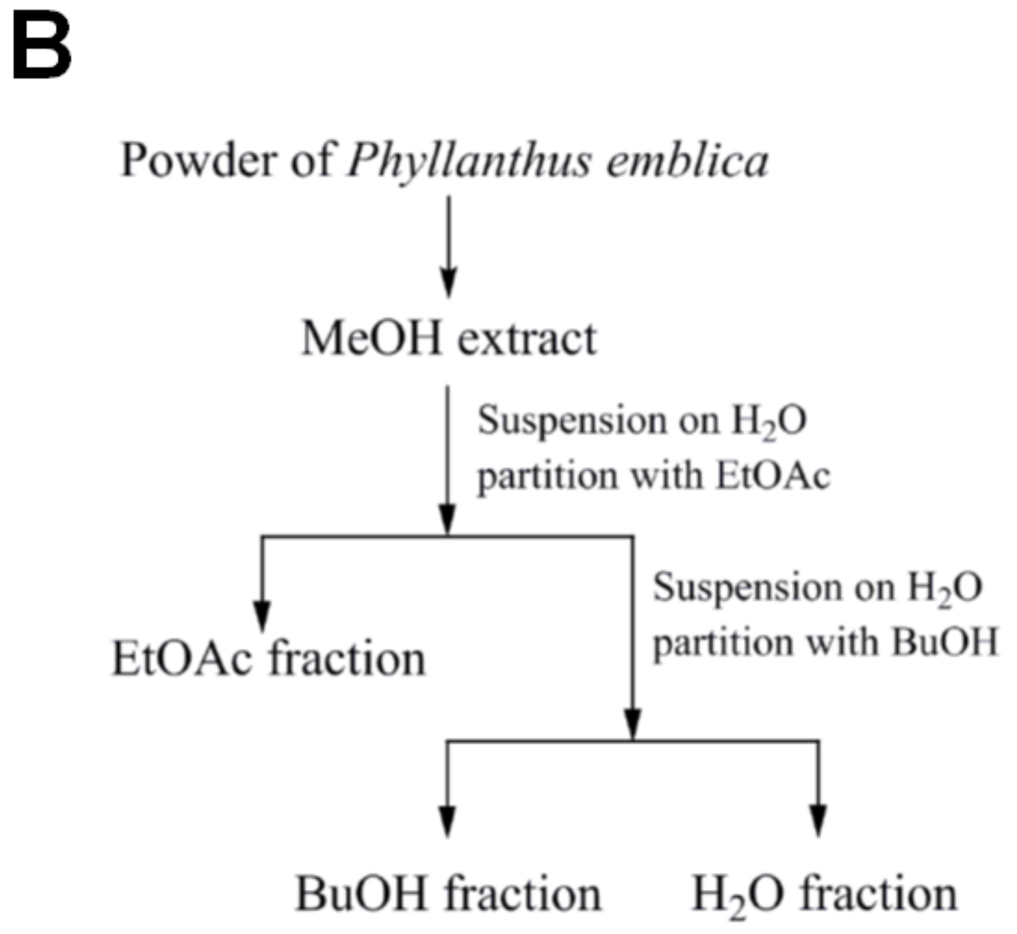 Ijms 24 09922 g001b Ijms 24 09922 g001b