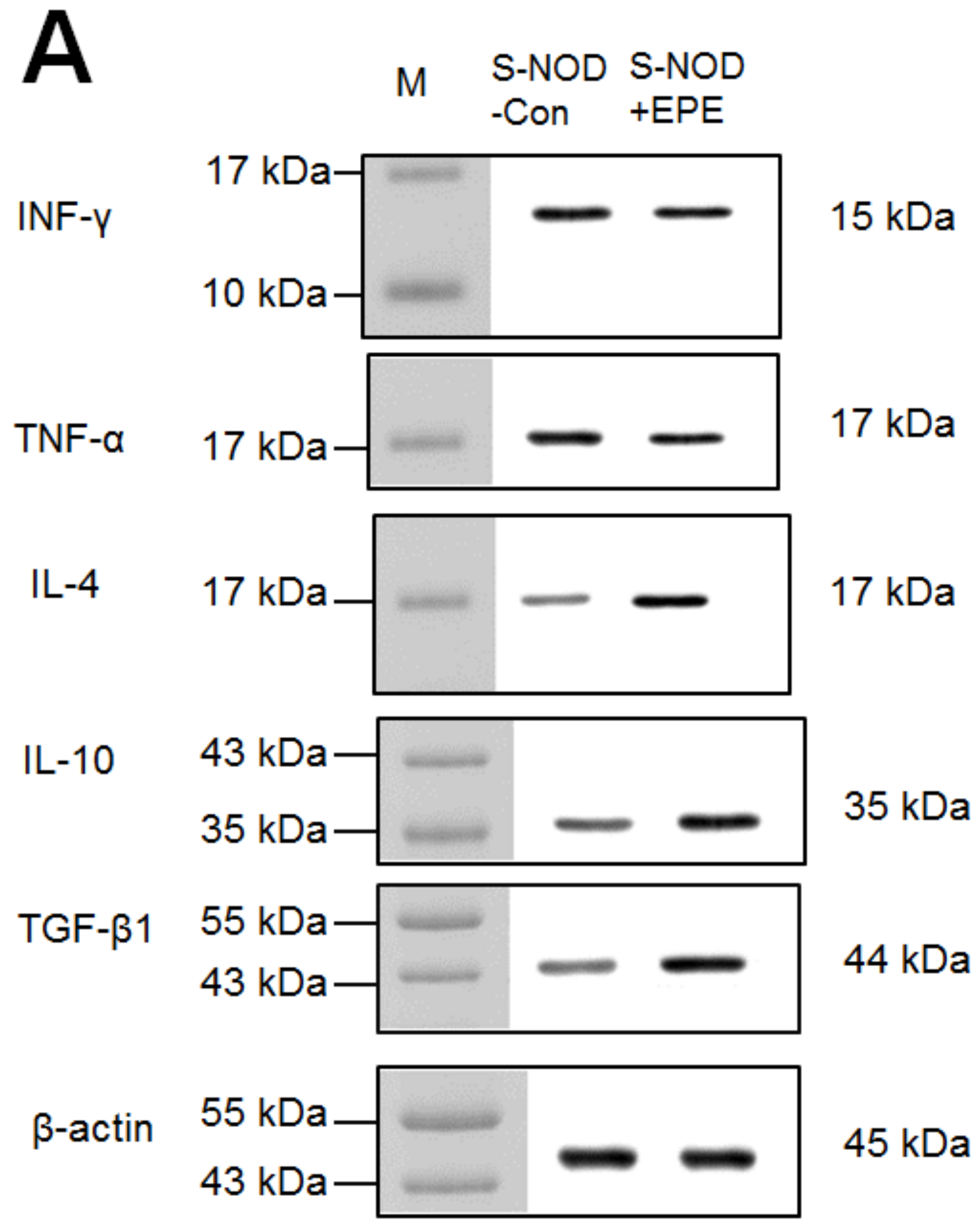 Ijms 24 09922 g004a Ijms 24 09922 g004a